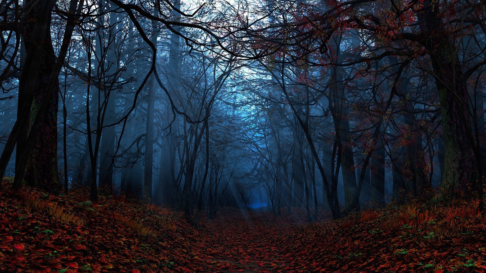 Bosco autunnale, Foglie rosse, Luce blu, Sentiero, 1920x1080, wallpaper desktop