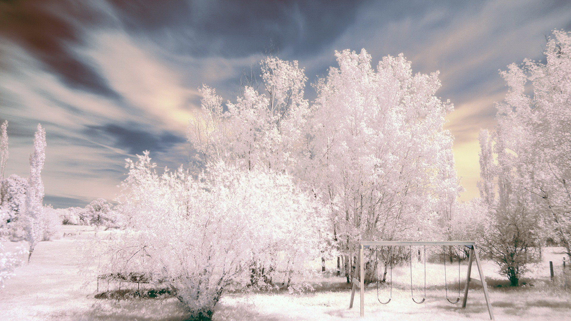 Alberi ghiacciati, Brina, Bianco, Nuvole, 16:9 Full HD, sfondo widescreen