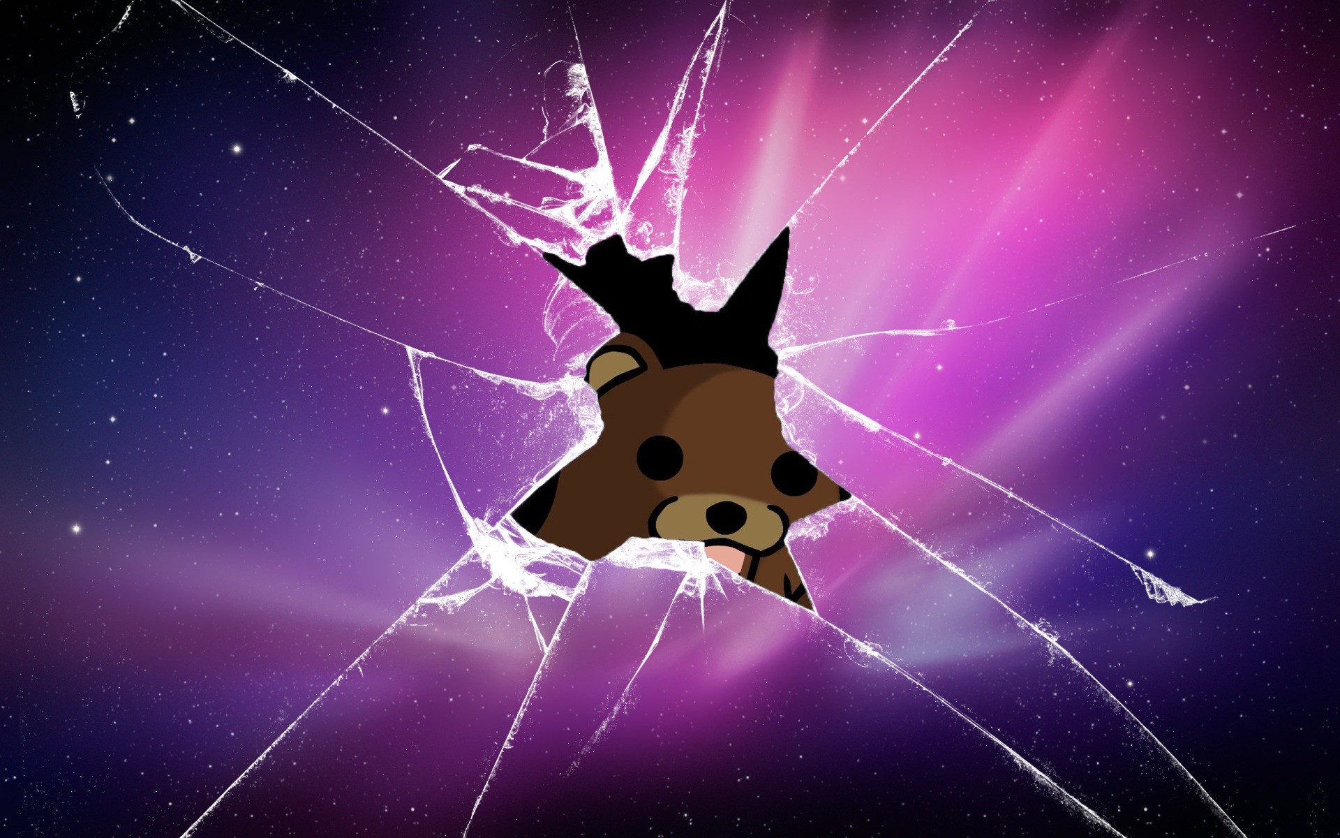Pedobear, Vetro rotto, Meme, Viola, 1920x1200, immagine di sfondo