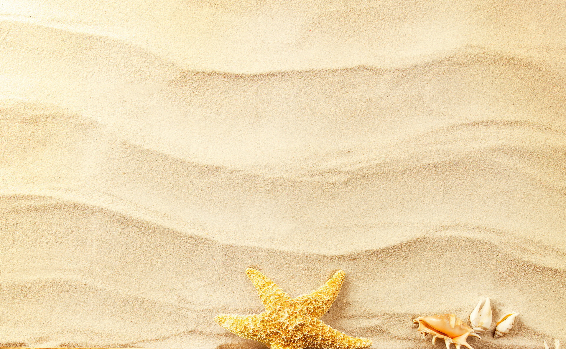 Stella marina, Conchiglie, Sabbia ondulata, 16:10 Full HD, wallpaper widescreen