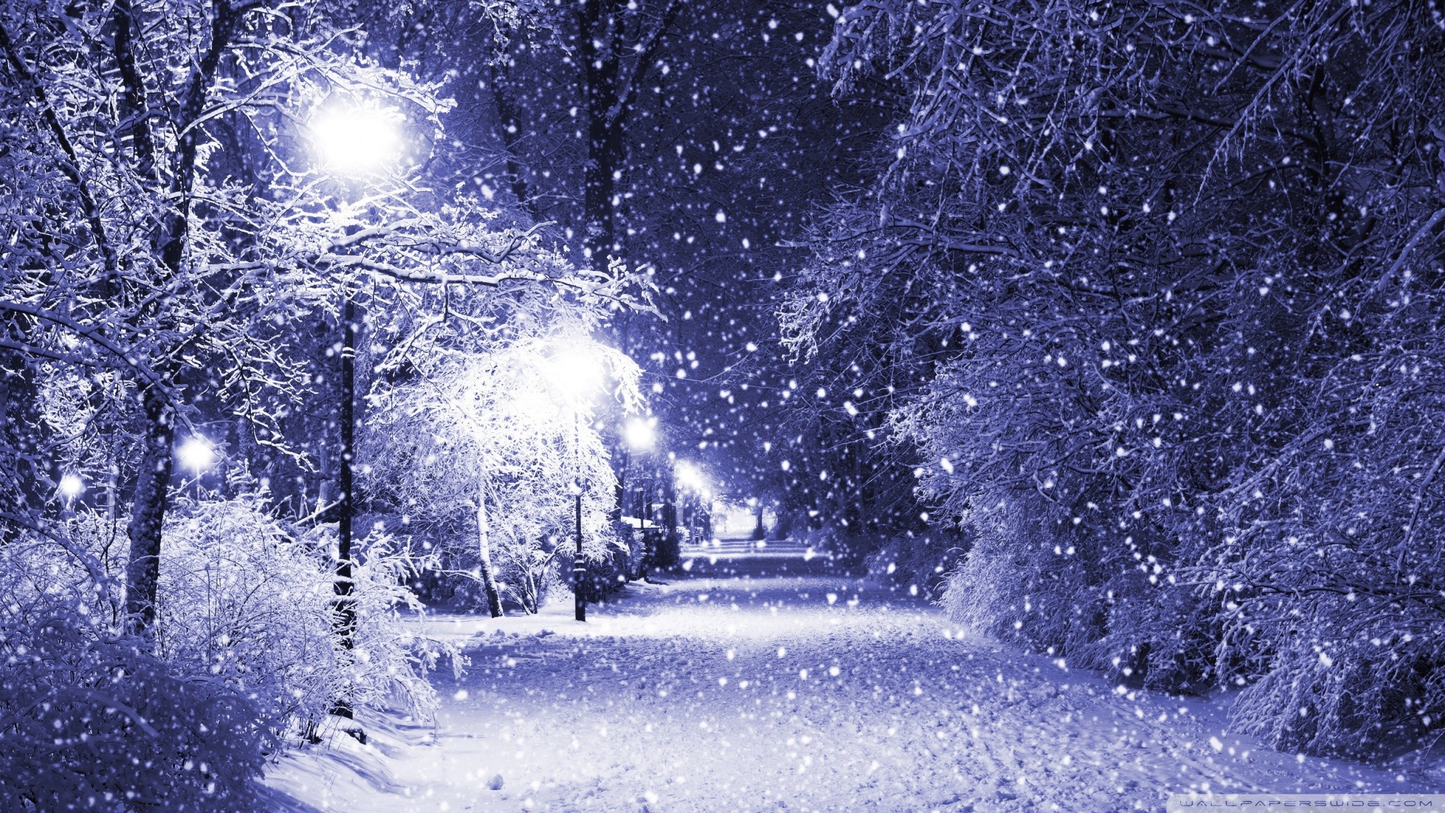 Parco, Lampioni, Nevicata, Notte, Full HD, wallpaper per portatile