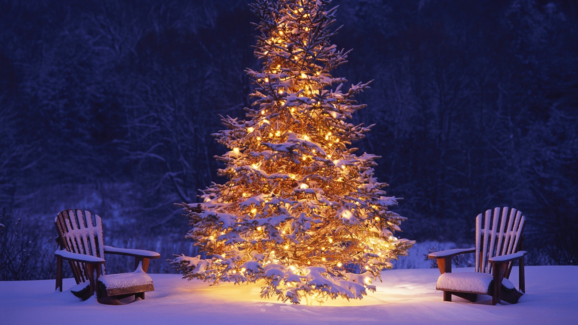 Albero di Natale, Luci, Sedie, Neve, Notte, Full HD, wallpaper per PC