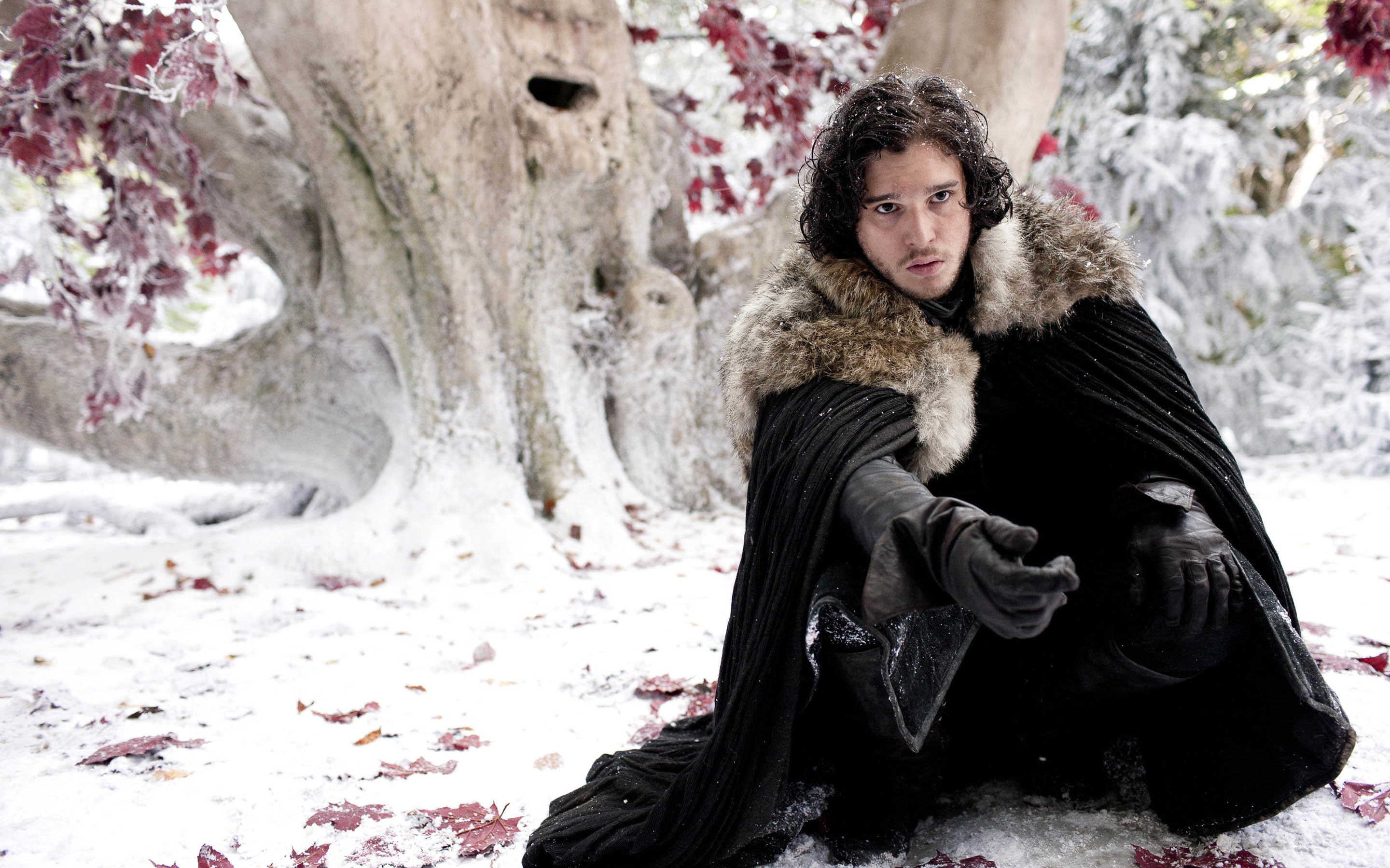 Il Trono di Spade, Jon Snow, Kit Harington, Albero diga, Neve, 2K, sfondo per PC e portatile