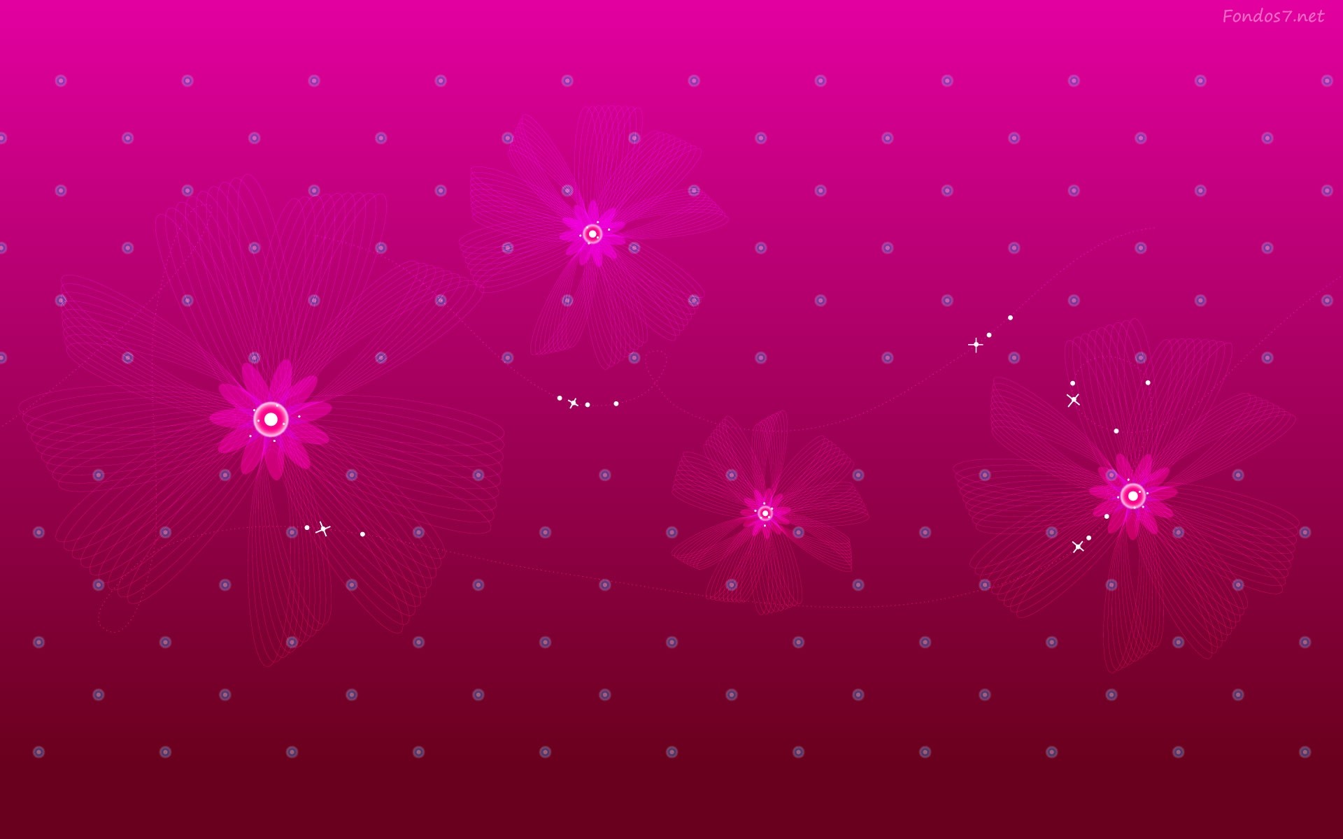 Magenta, Puntini, Fiori stilizzati, Full HD, sfondo desktop