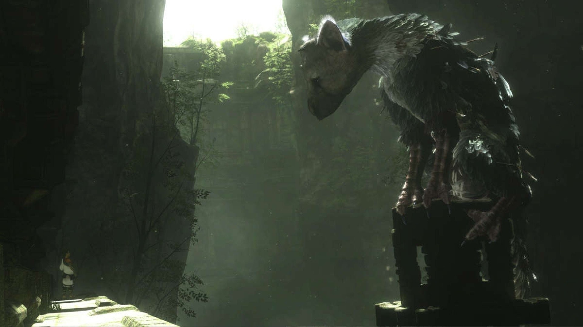 Trico, The Last Guardian, Rovine, Ombra, Full HD, sfondo Windows 11