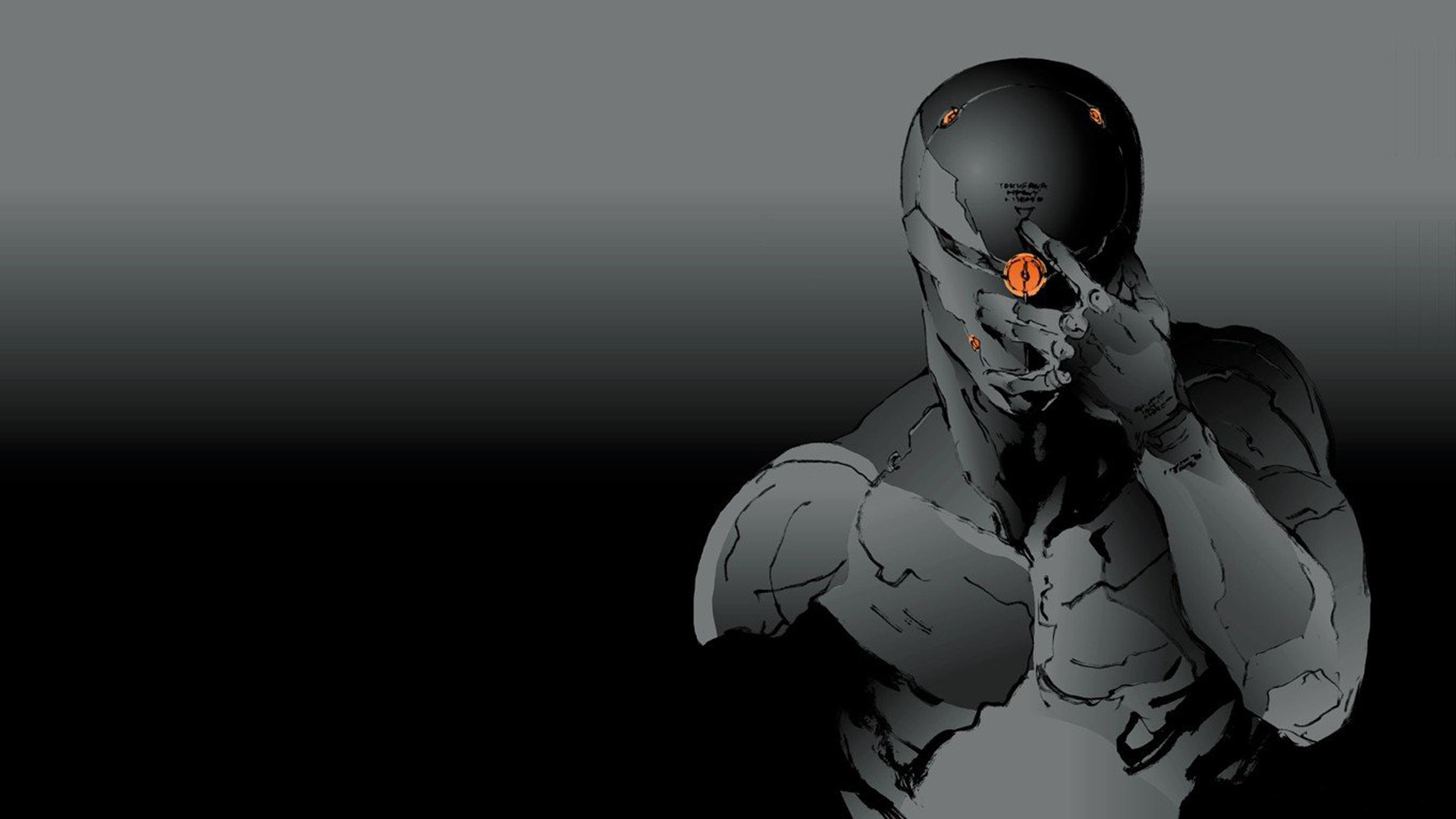 Gray Fox, Metal Gear Solid, Ninja cyborg, Toni grigi, Full HD, sfondo per portatile