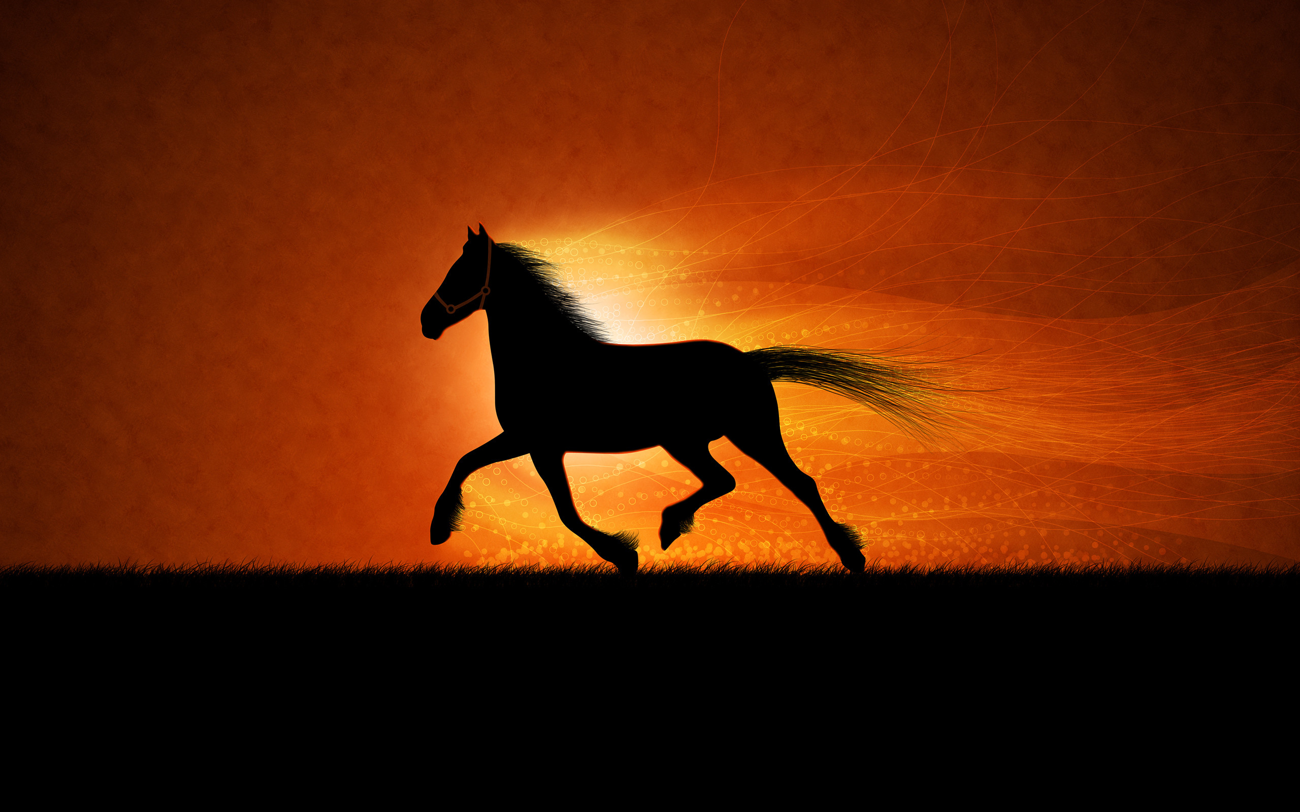 Cavallo, Galoppo, Silhouette, Tramonto, 2560x1600, sfondo per PC