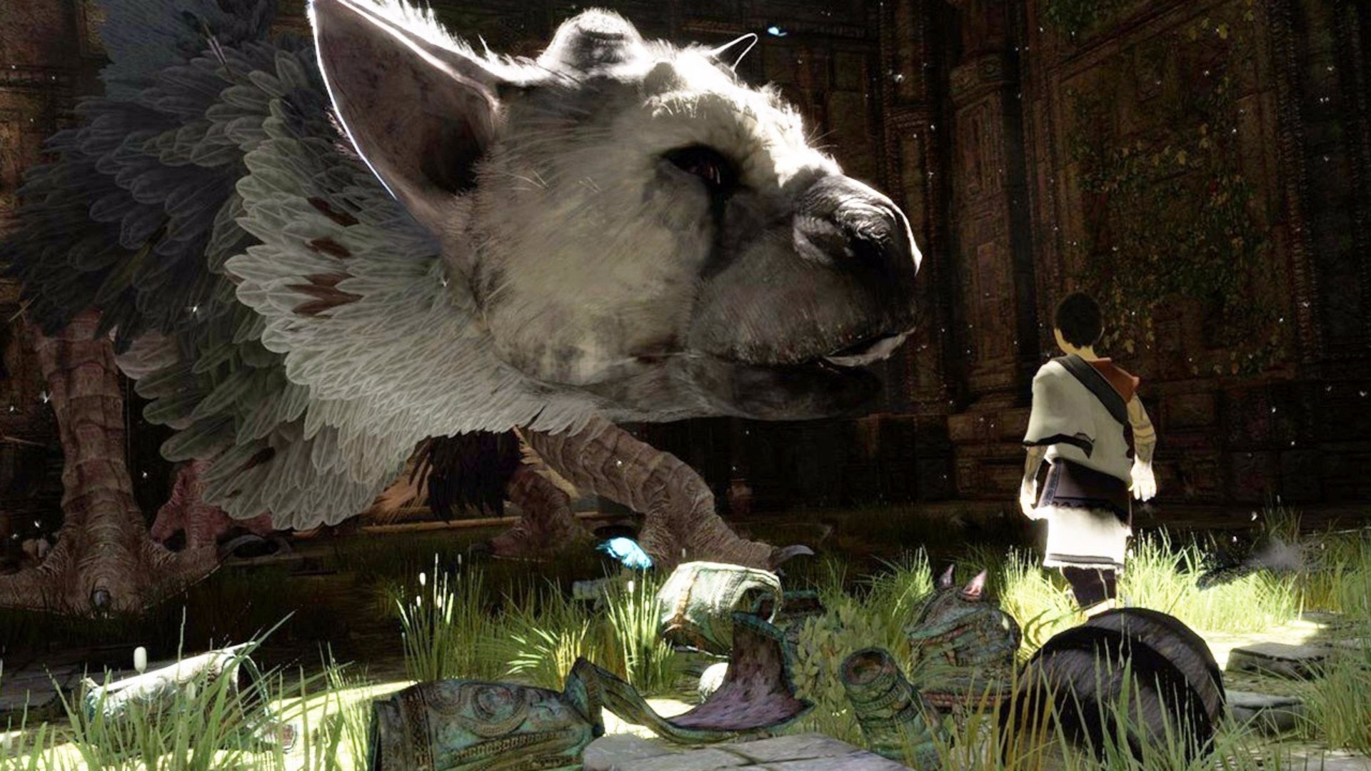 Trico, The Last Guardian, Ragazzo, Erba, Full HD, wallpaper per computer