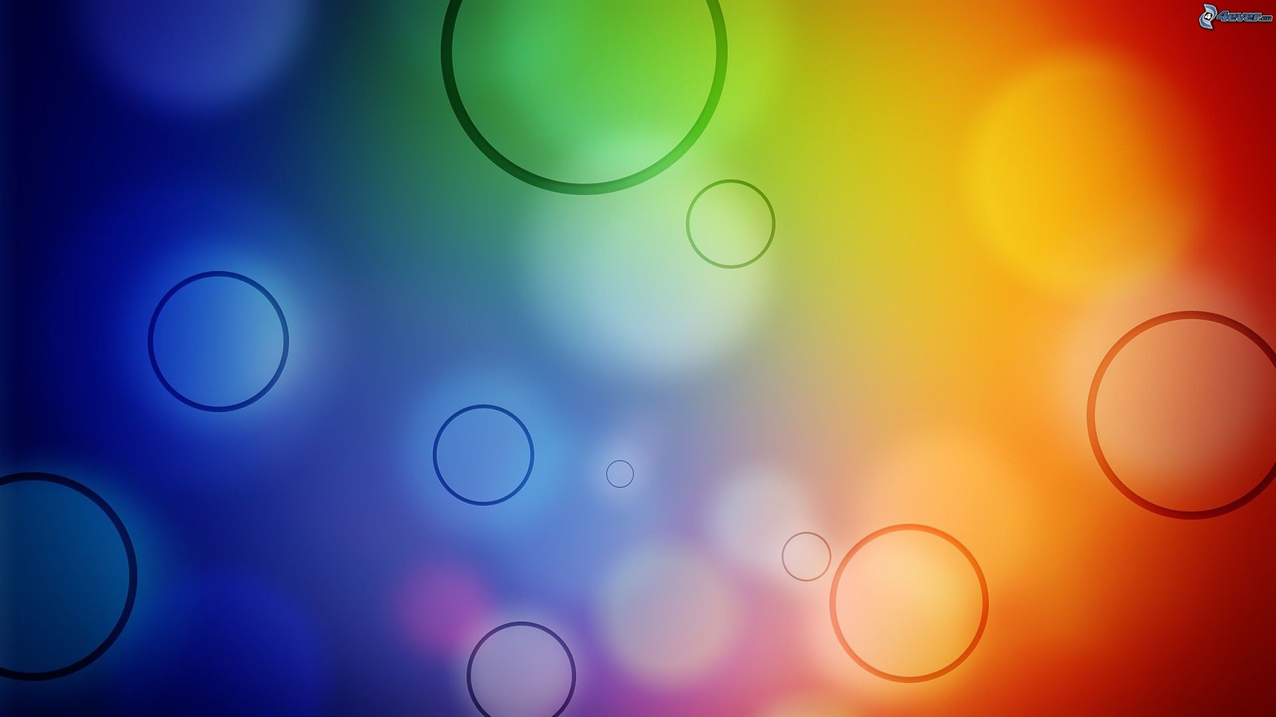Bokeh, Cerchi, Arcobaleno, Gradiente, 2K, sfondo per portatile