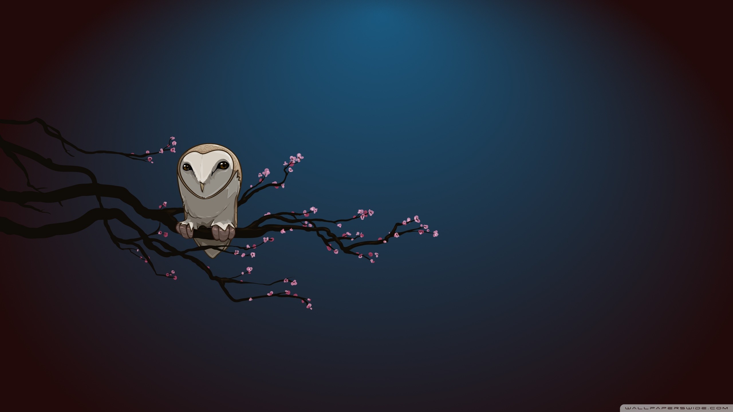 Gufo, Fiori di ciliegio, Ramo, Minimalismo, 16:9 2K, sfondo widescreen