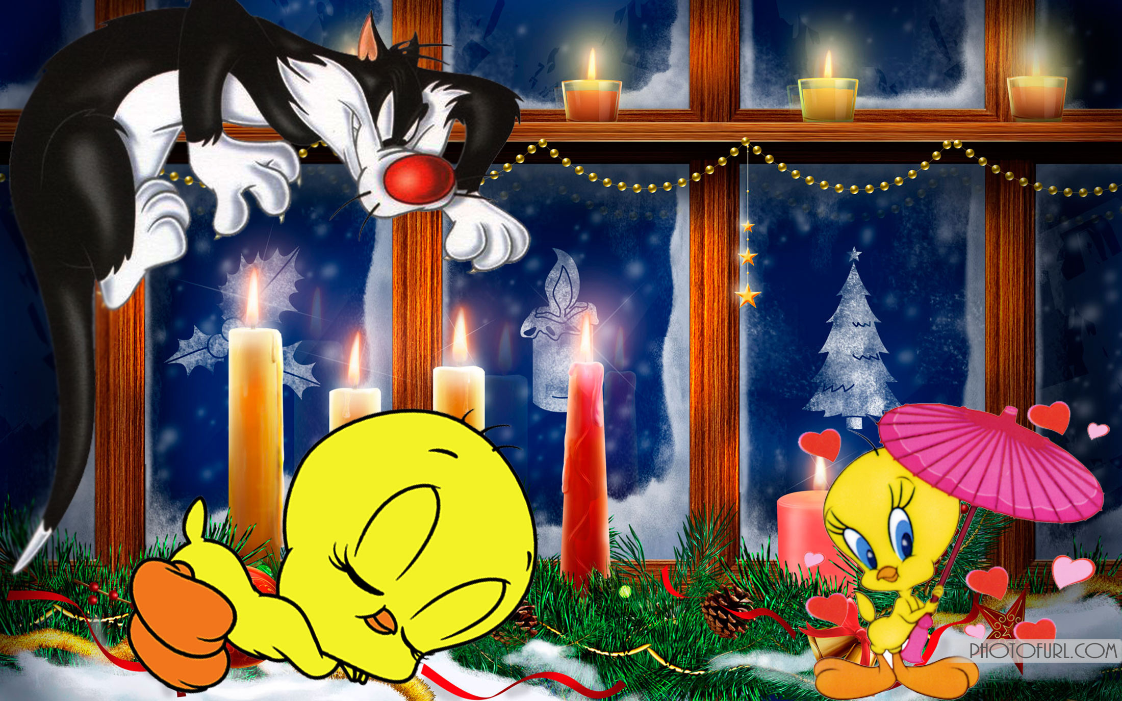 Silvestro, Titti, Looney Tunes, Natale, Candele, 2200x1375, sfondo MacBook Pro