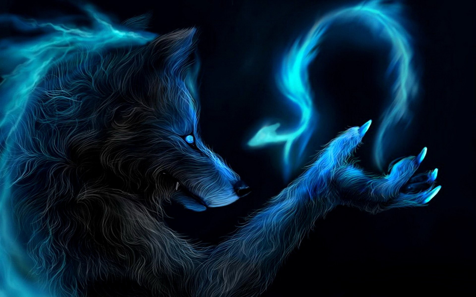 Lupo, Magia, Blu, Sfondo nero, Arte digitale, 16:10 Full HD, wallpaper widescreen