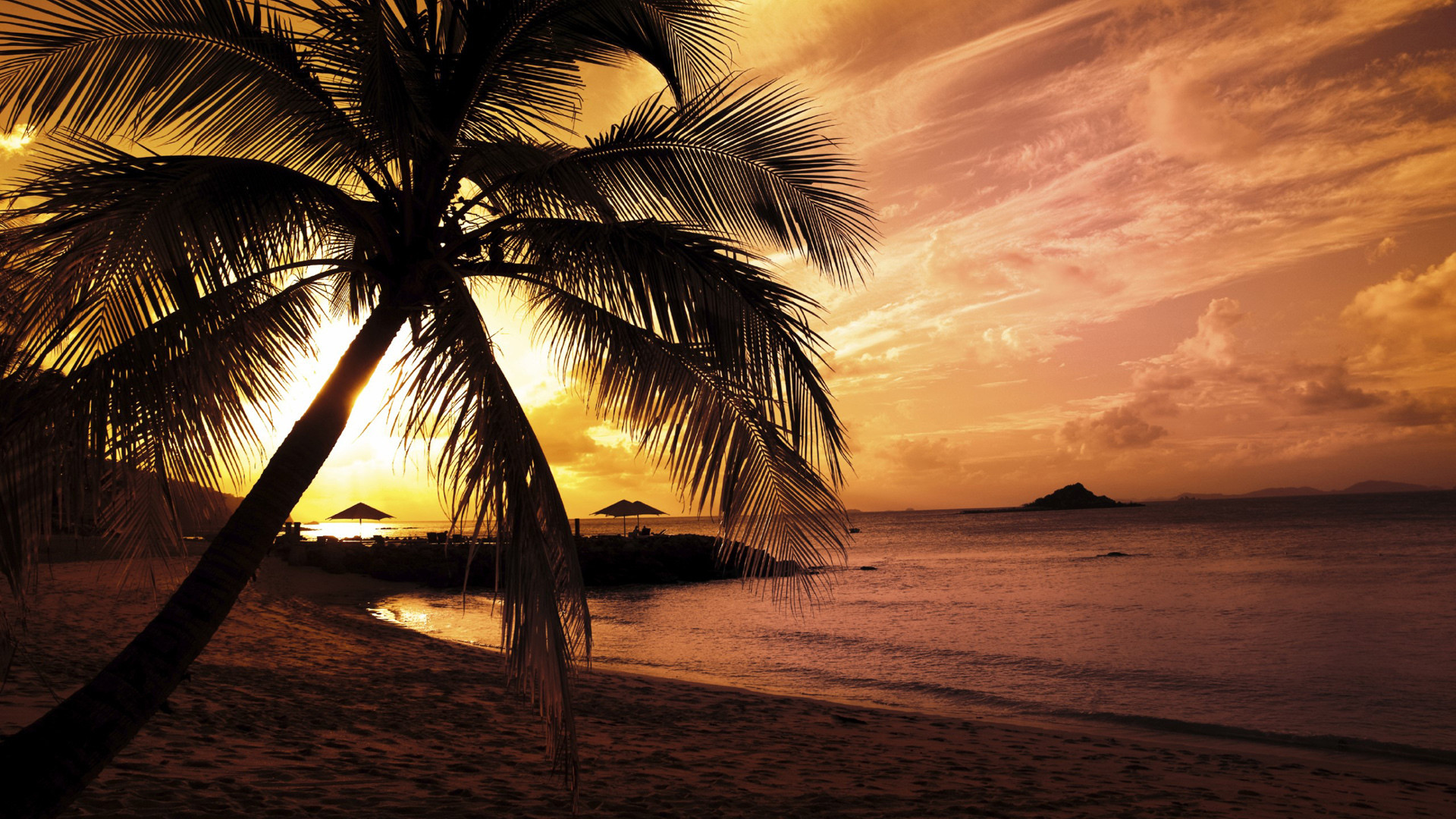 Palma, Spiaggia, Tramonto, Mare, Controluce, 1920x1080, wallpaper desktop