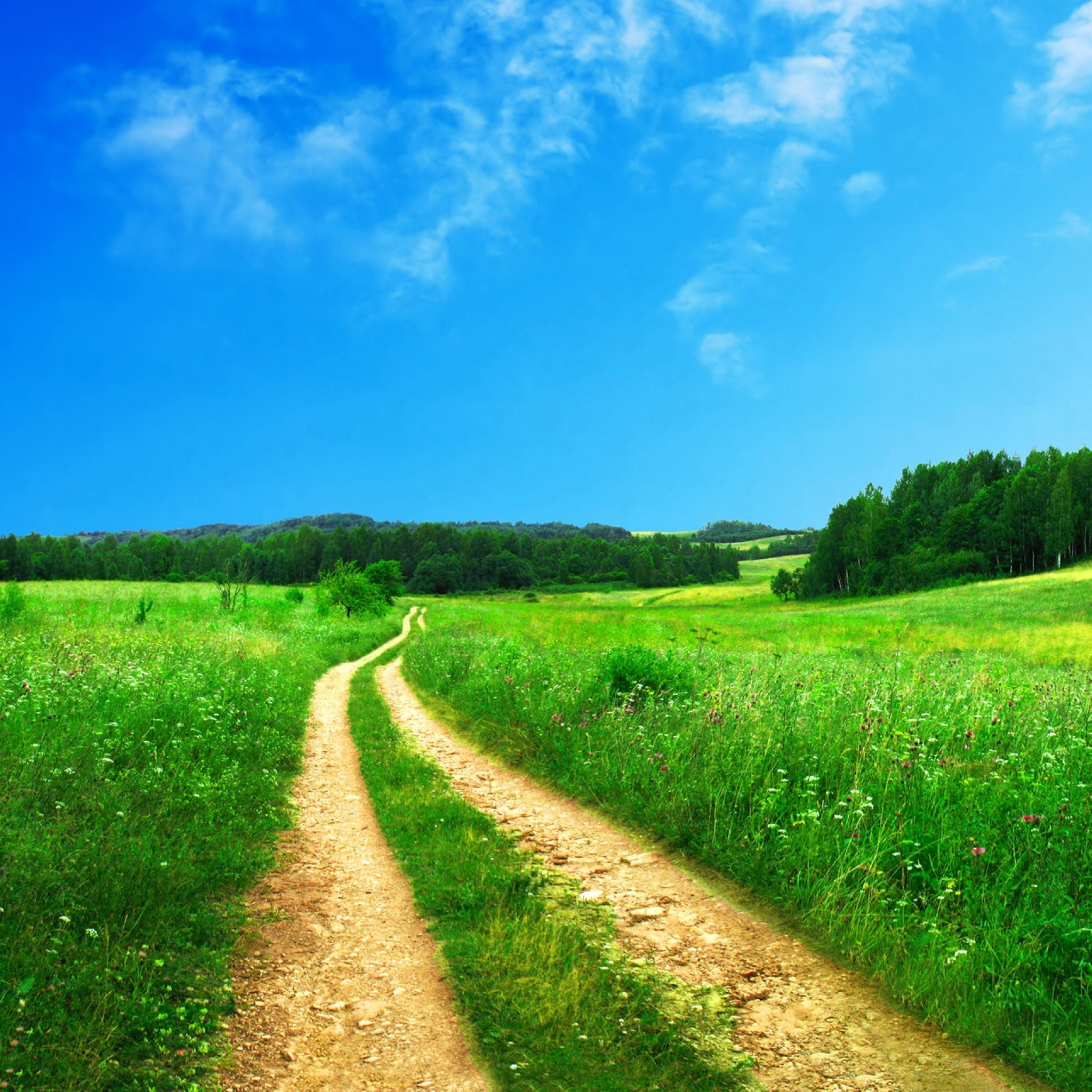 Strada sterrata, Prato verde, Campagna, Cielo azzurro, Estate, Full HD, schermata di blocco iPad