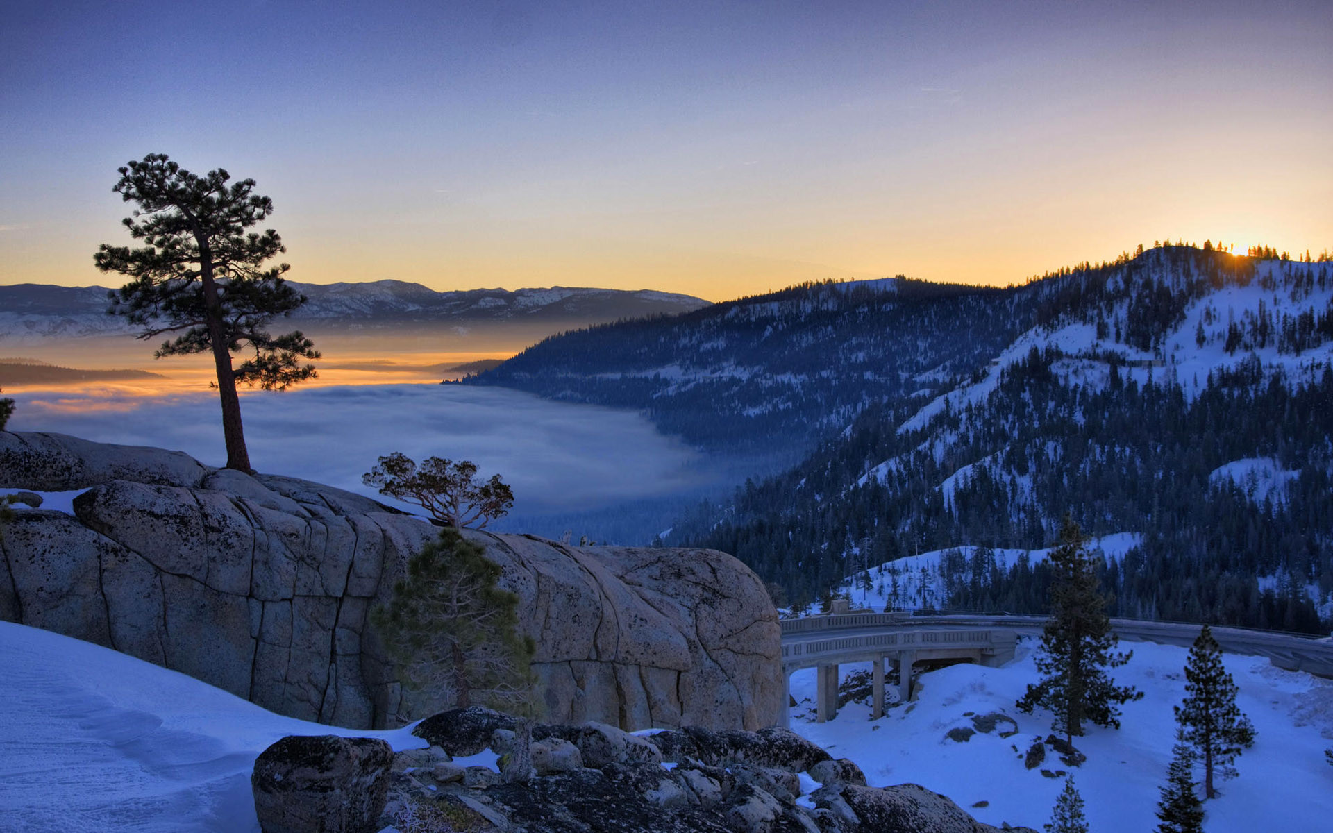 Lago Tahoe, Pino, Neve, Tramonto, 16:10 Full HD, sfondo widescreen