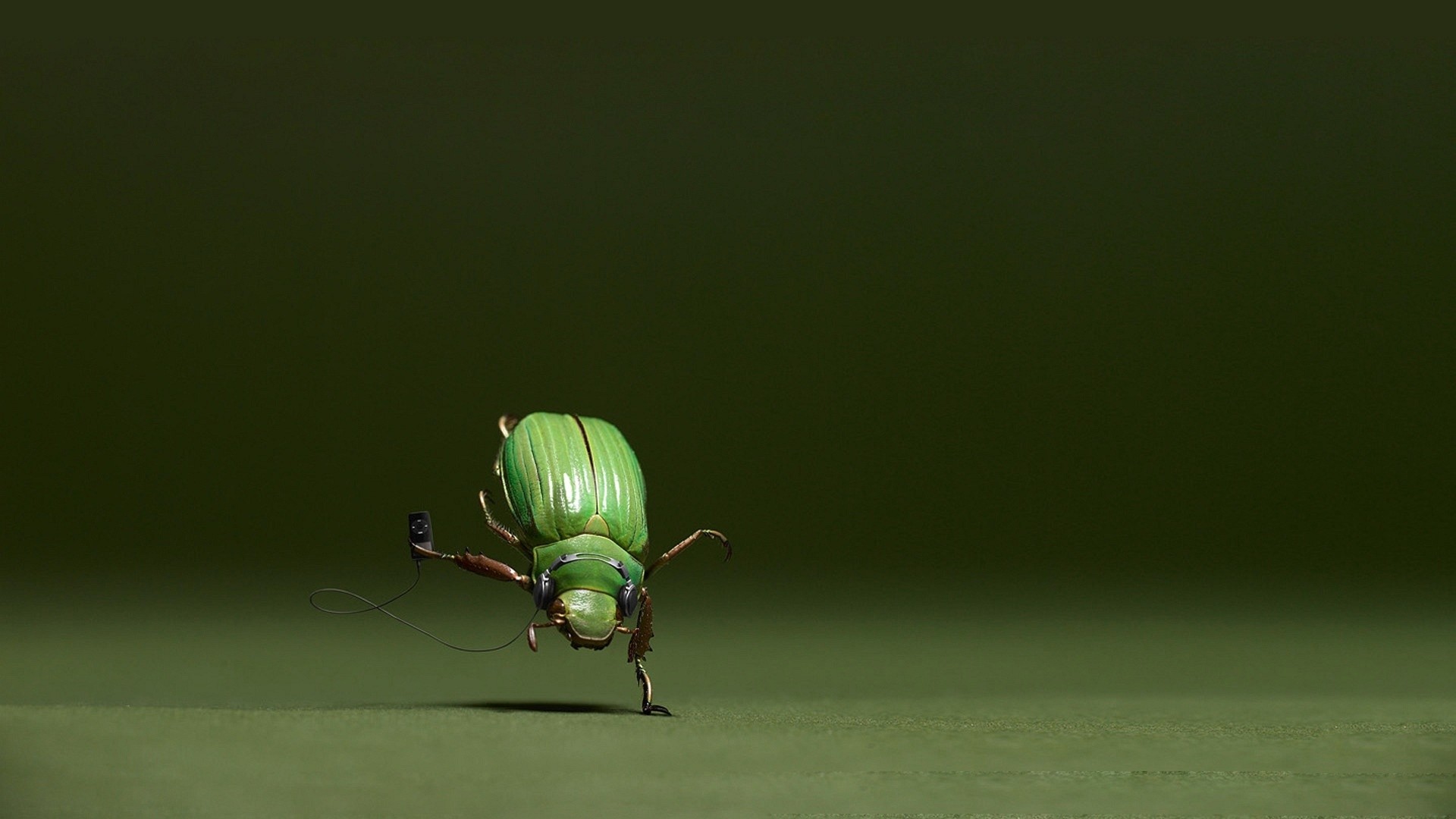 Scarabeo, Microfono, Insetto, Verde, Ironico, 16:9 Full HD, sfondo widescreen