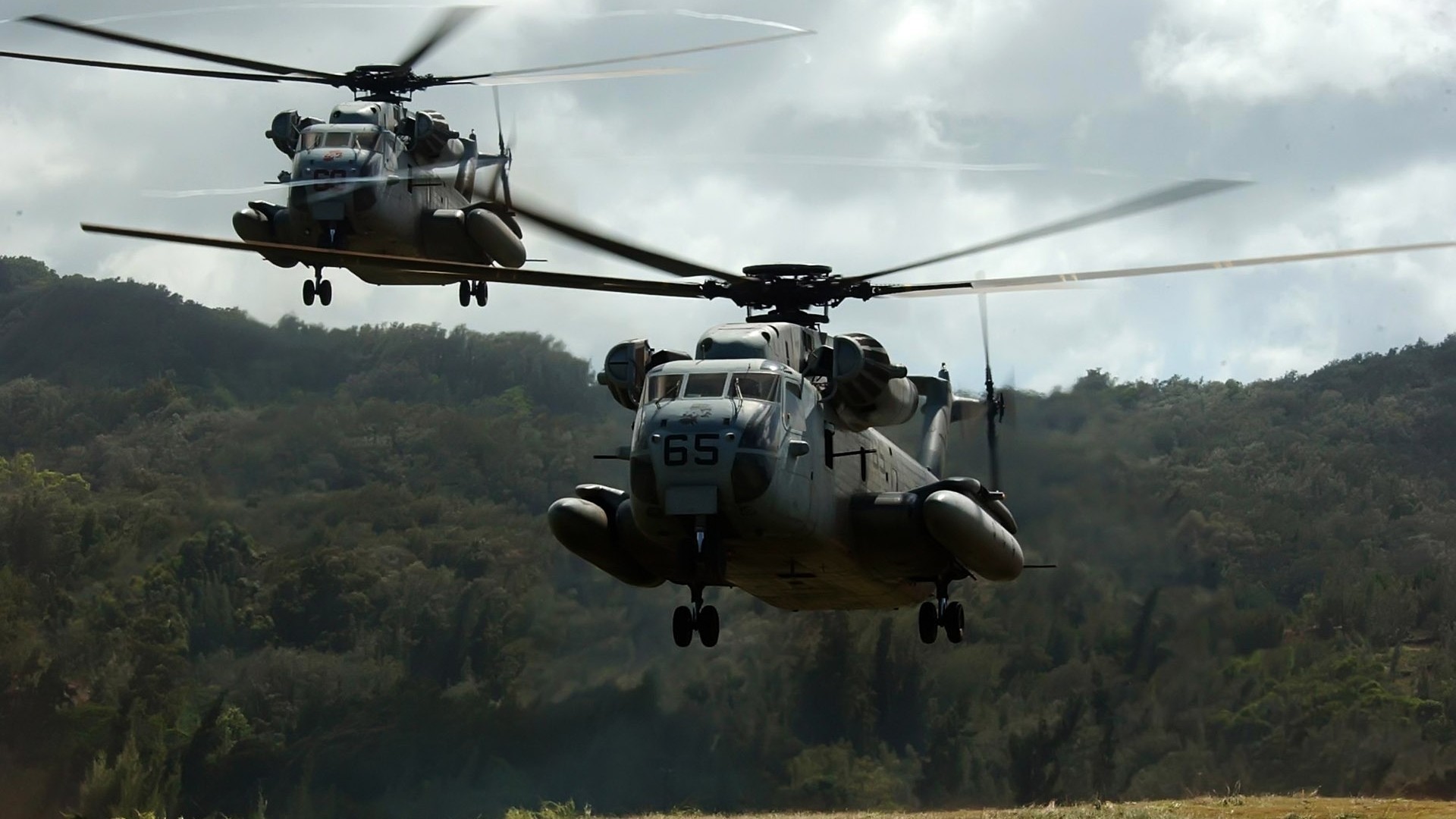 Sikorsky CH-53 Sea Stallion, Elicotteri militari, Foresta, Atterraggio, sfondo 1920x1080 per PC