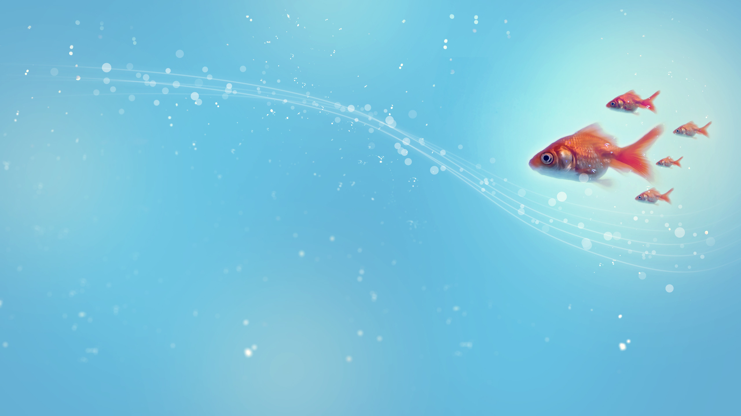 Pesci rossi, Scia luminosa, Azzurro, 2560x1440, immagine di sfondo