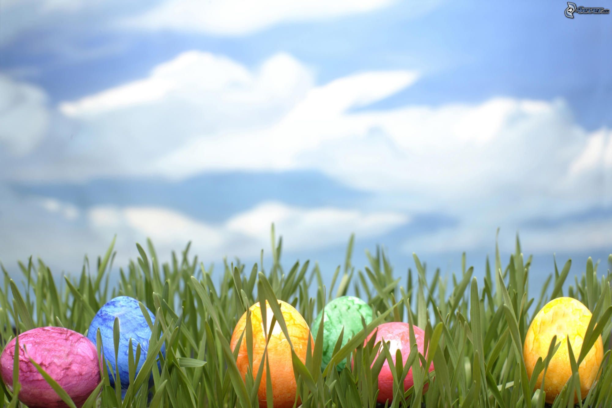 Uova di Pasqua, Prato, Nuvole, Full HD, sfondo per PC e portatile