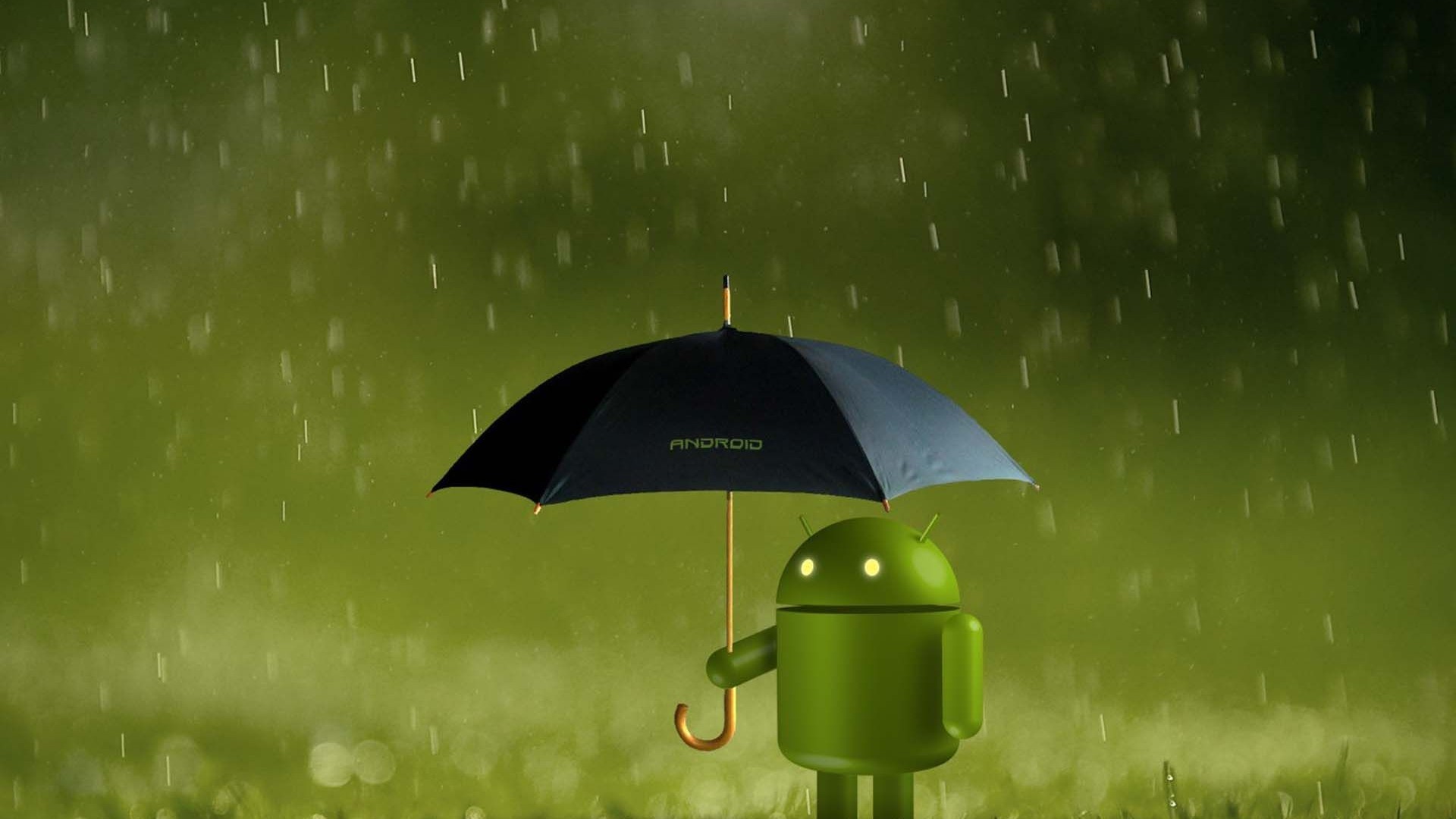 Bugdroid, Android, Ombrello, Pioggia, Full HD, wallpaper desktop