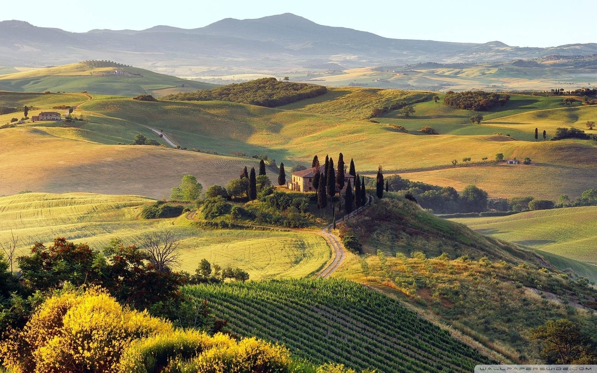 Val d'Orcia, Toscana, Colline, Vigneti, Cipressi, Full HD, sfondo per PC e portatile