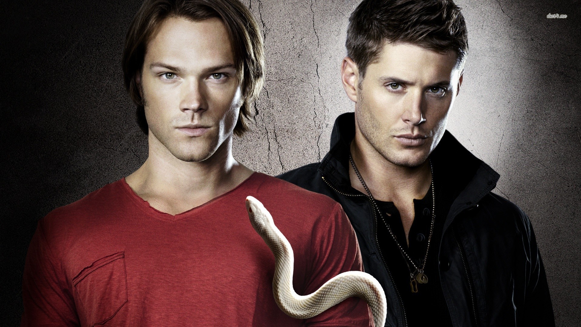 Sam Winchester, Dean Winchester, Serpente bianco, Supernatural, 1920x1080, sfondo per PC