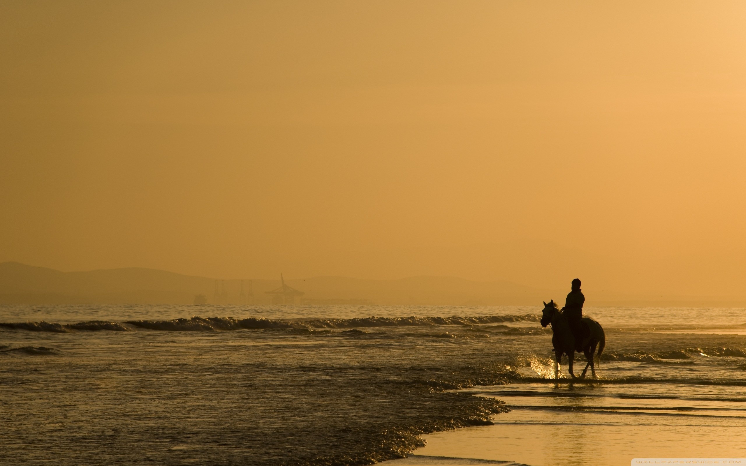 Cavaliere, Silhouette, Spiaggia, Tramonto, 16:10 2K, sfondo widescreen