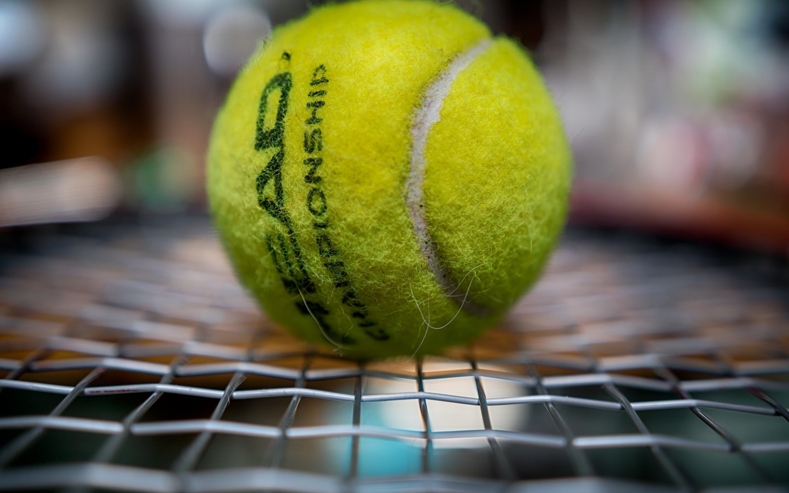 Pallina da tennis, Head, Corde della racchetta, Macro, 2K, sfondo desktop
