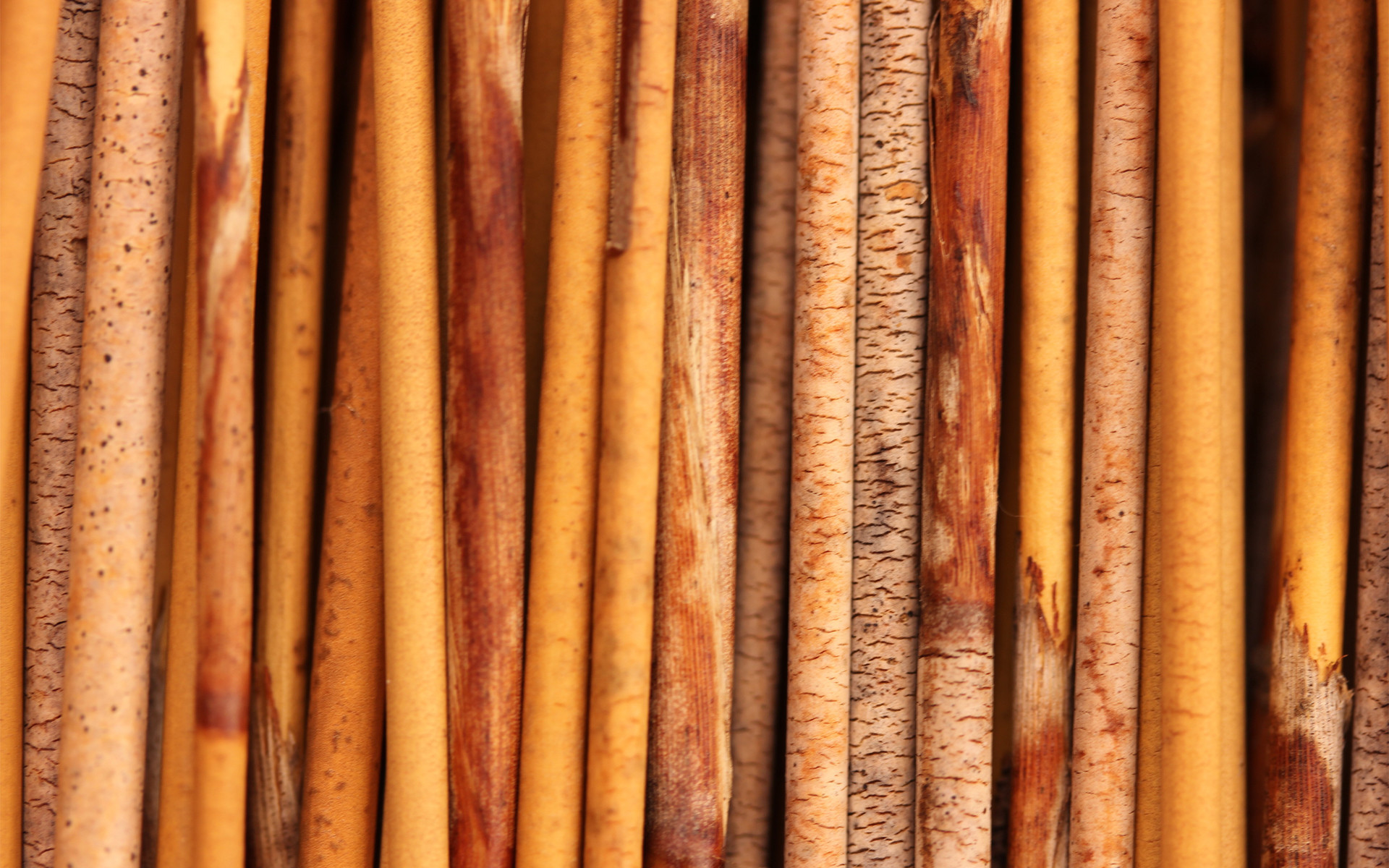 Bastoncini di legno, Cannella, Texture, Full HD, sfondo per PC e portatile