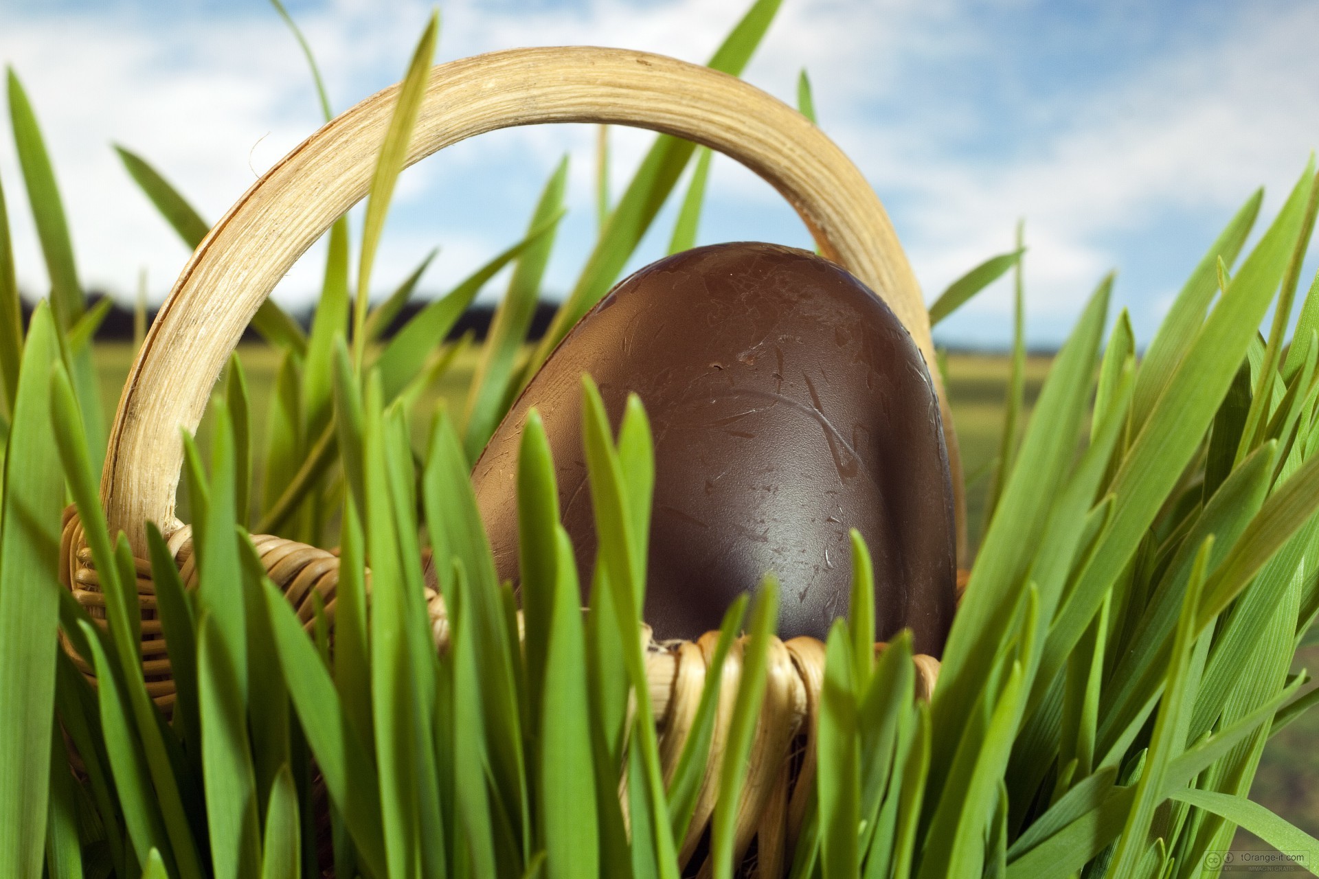 Uovo di cioccolato, Cestino, Erba, Pasqua, Full HD, sfondo desktop