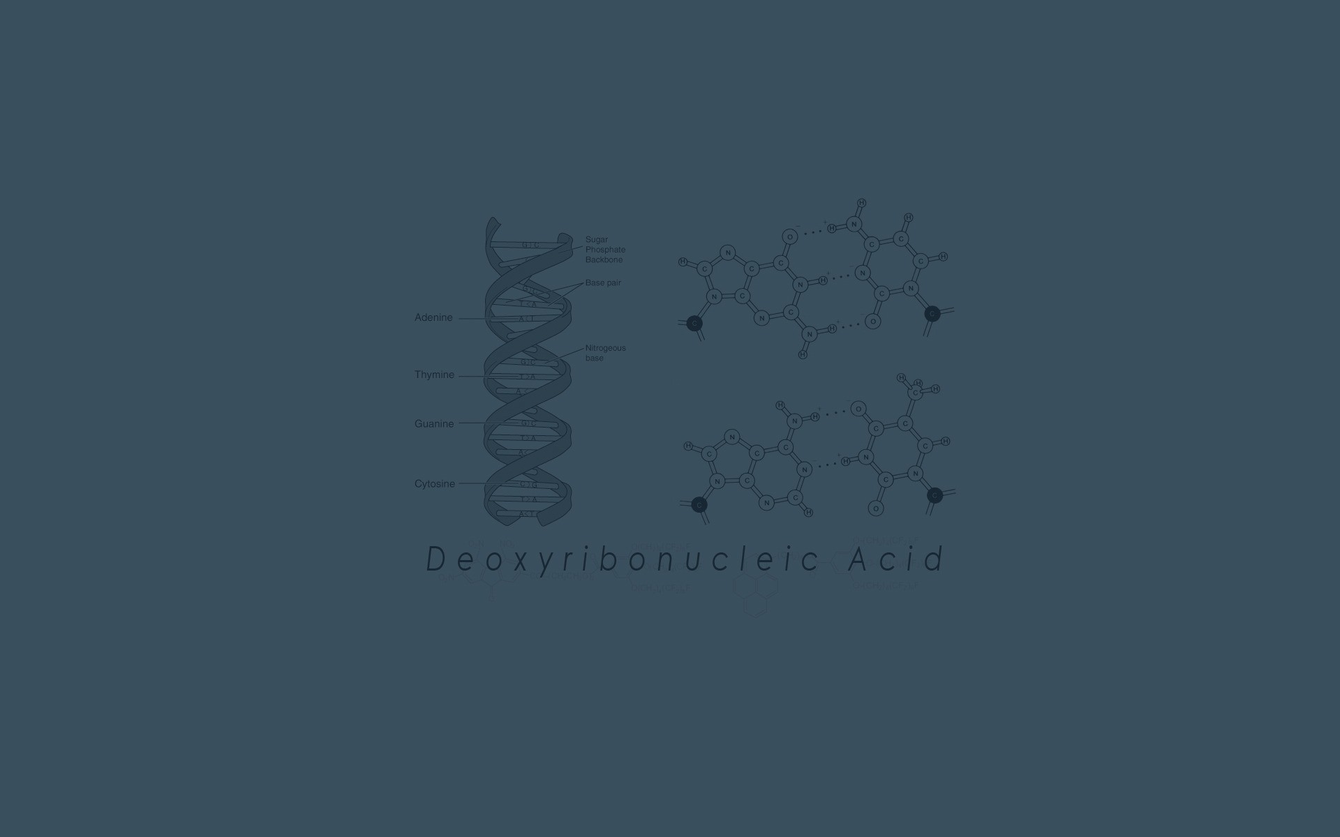 Acido desossiribonucleico, DNA, Minimalista, Grigio, Full HD, sfondo per PC e portatile