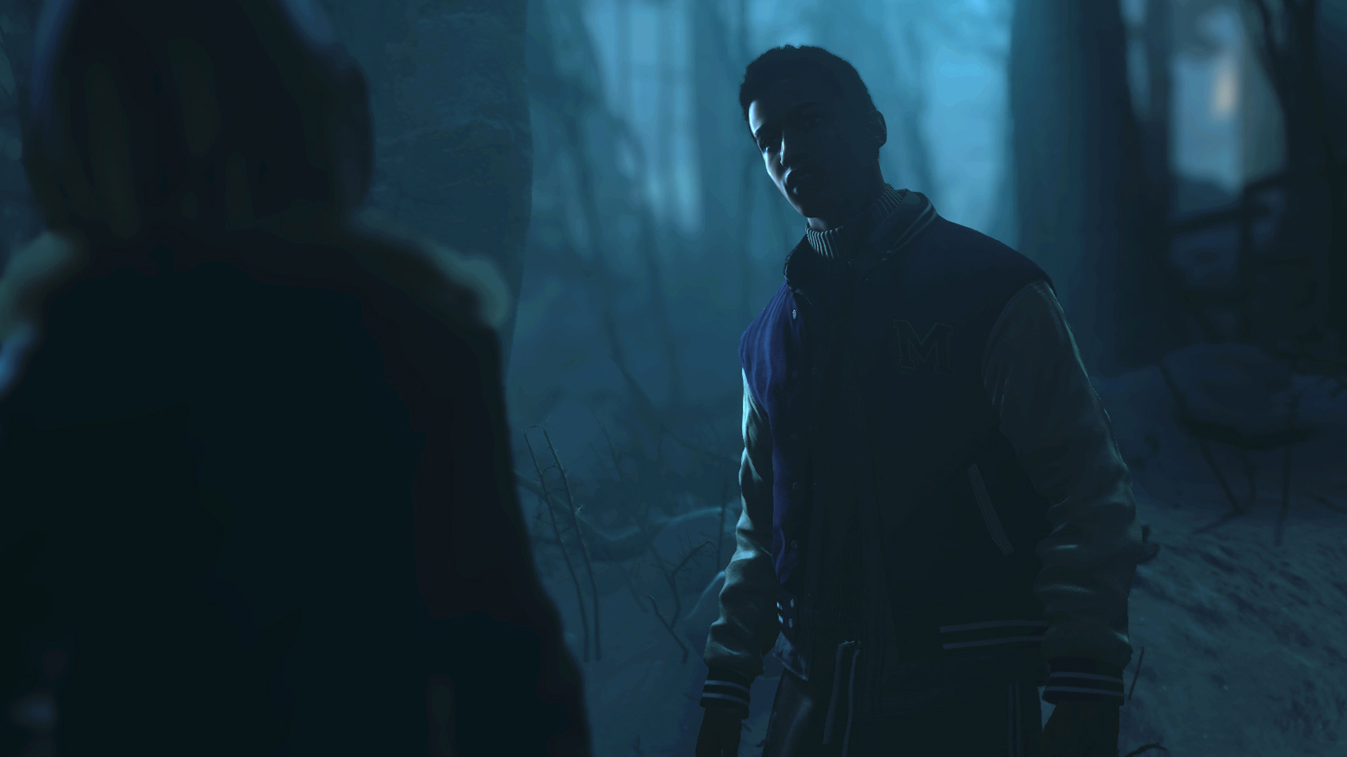Until Dawn, Matt, Foresta, Notte, Full HD, sfondo desktop