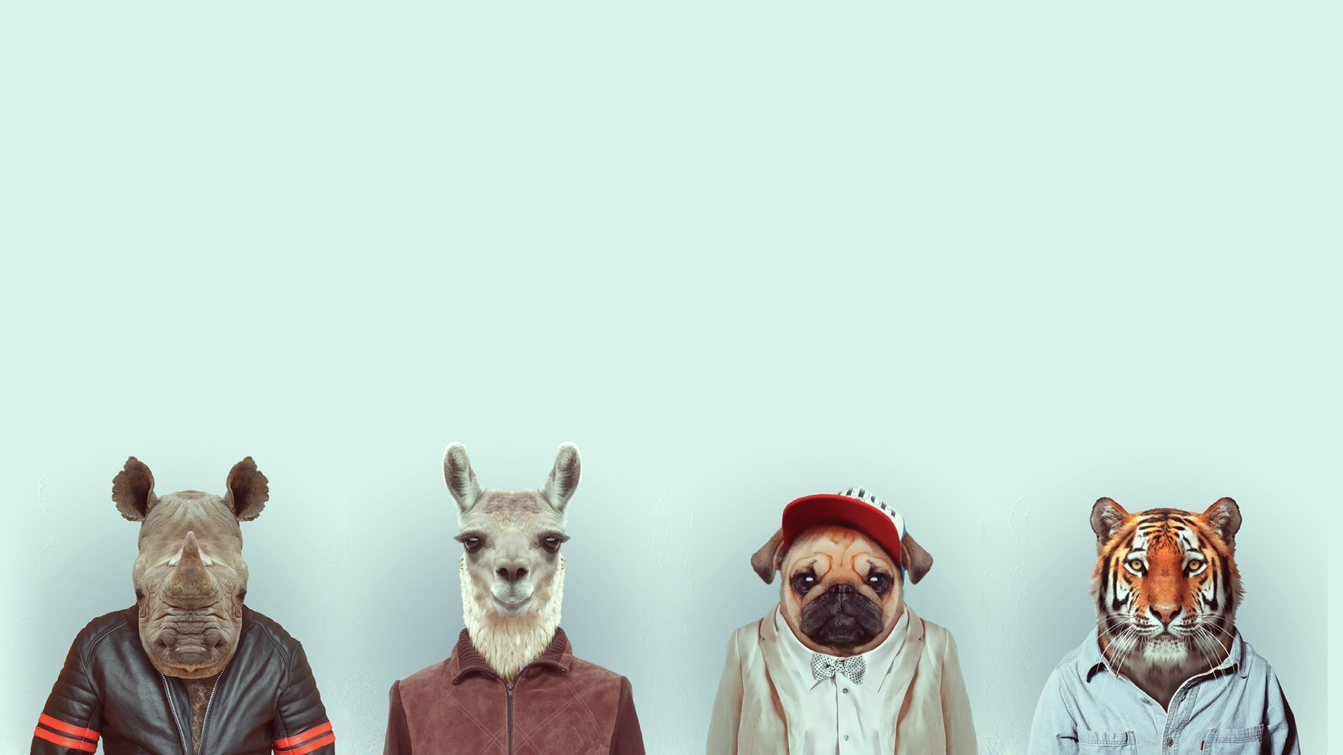 Minimalismo, Animali vestiti, Rinoceronte, Lama, Tigre, Full HD, sfondo per PC e portatile