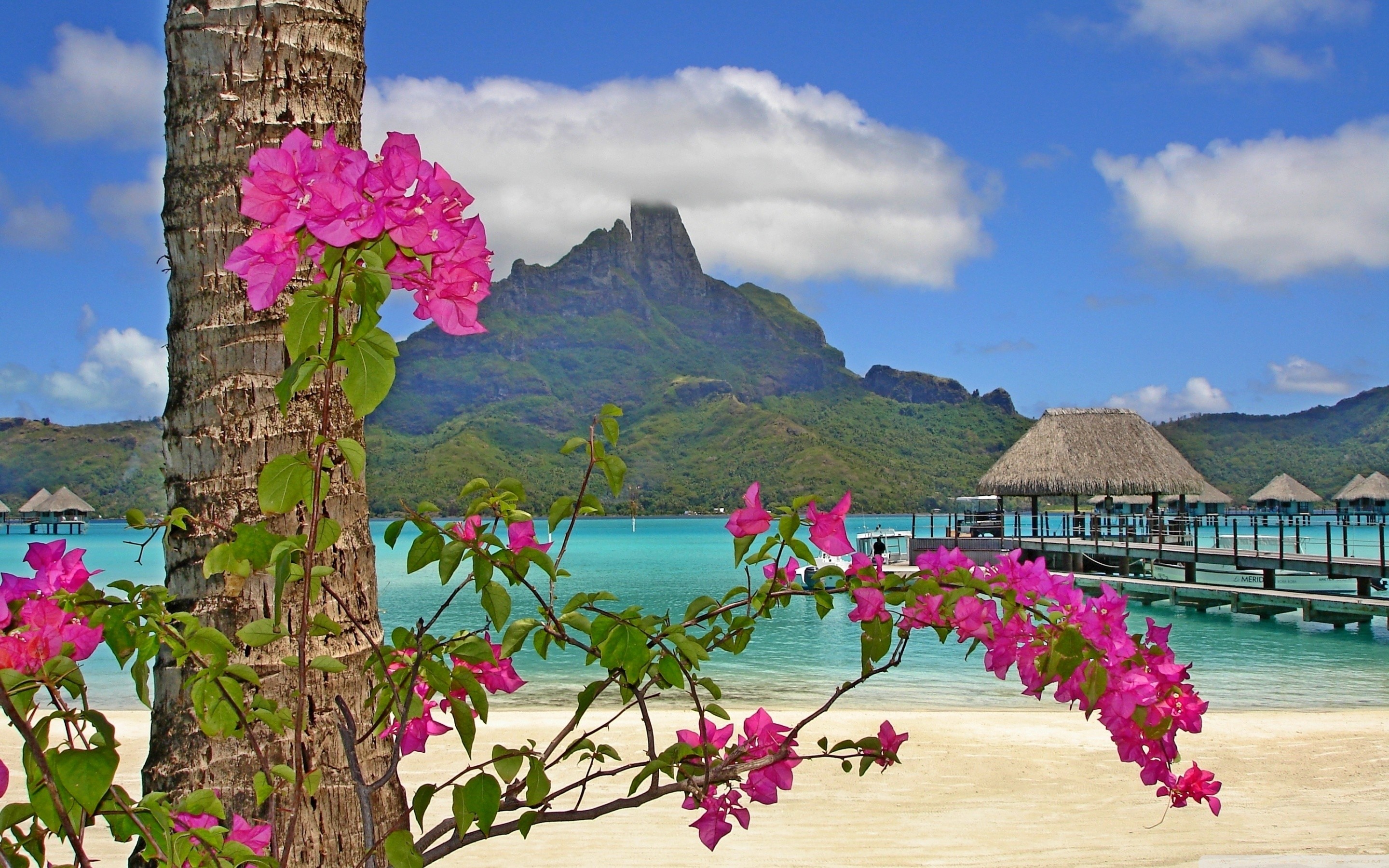 Bora Bora, Monte Otemanu, Bougainvillea, Bungalow sull'acqua, 2880x1800, immagine di sfondo