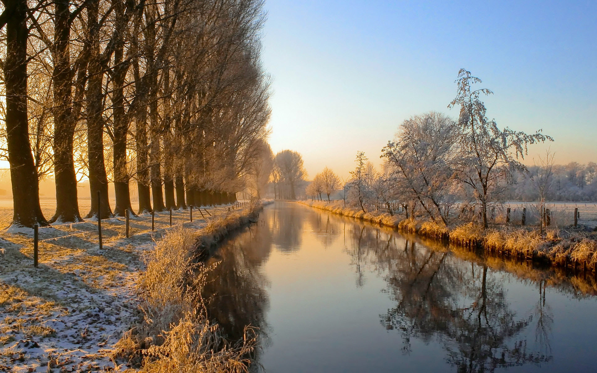 Canale, Alberi, Brina, Alba, Full HD, sfondo Windows 7