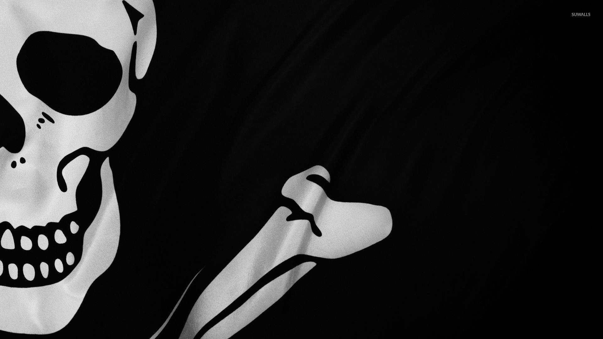 Teschio, Osso, Bianco e nero, Primo piano, 16:9 Full HD, sfondo widescreen