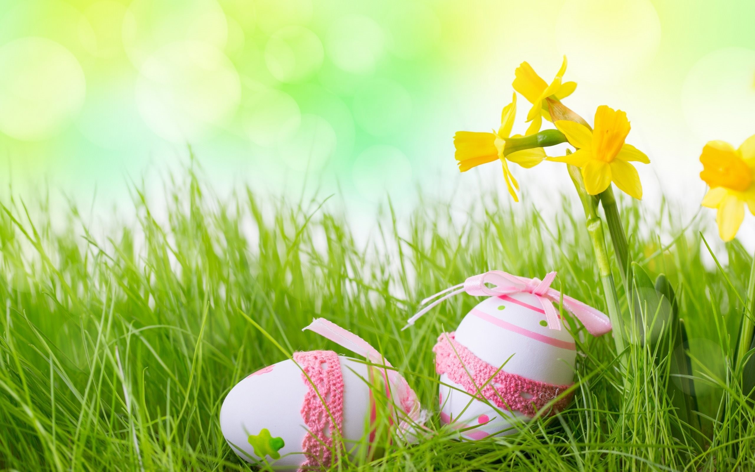Uova decorate, Narcisi, Erba, Primavera, 2K 1600p, sfondo desktop