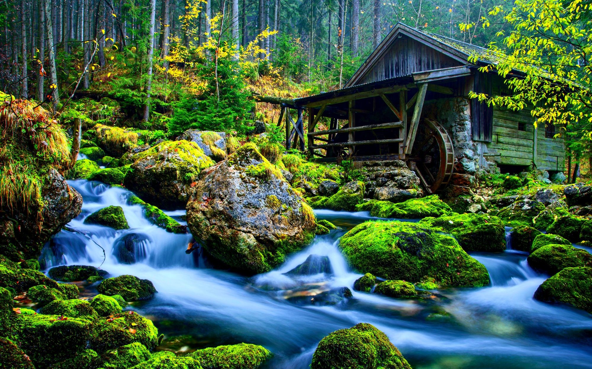 Mulino ad acqua, Ruscello, Muschio, Foresta, Full HD, wallpaper per computer