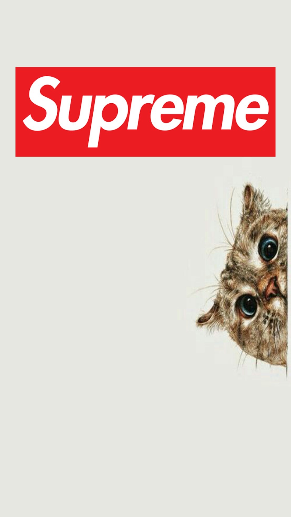 Logo Supreme, Gatto, Sfondo bianco, Full HD, schermata di blocco del cellulare