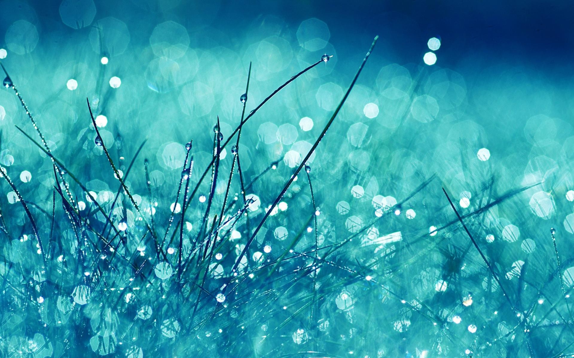 Gocce di pioggia, Erba, Bokeh, Turchese, Full HD, wallpaper per computer