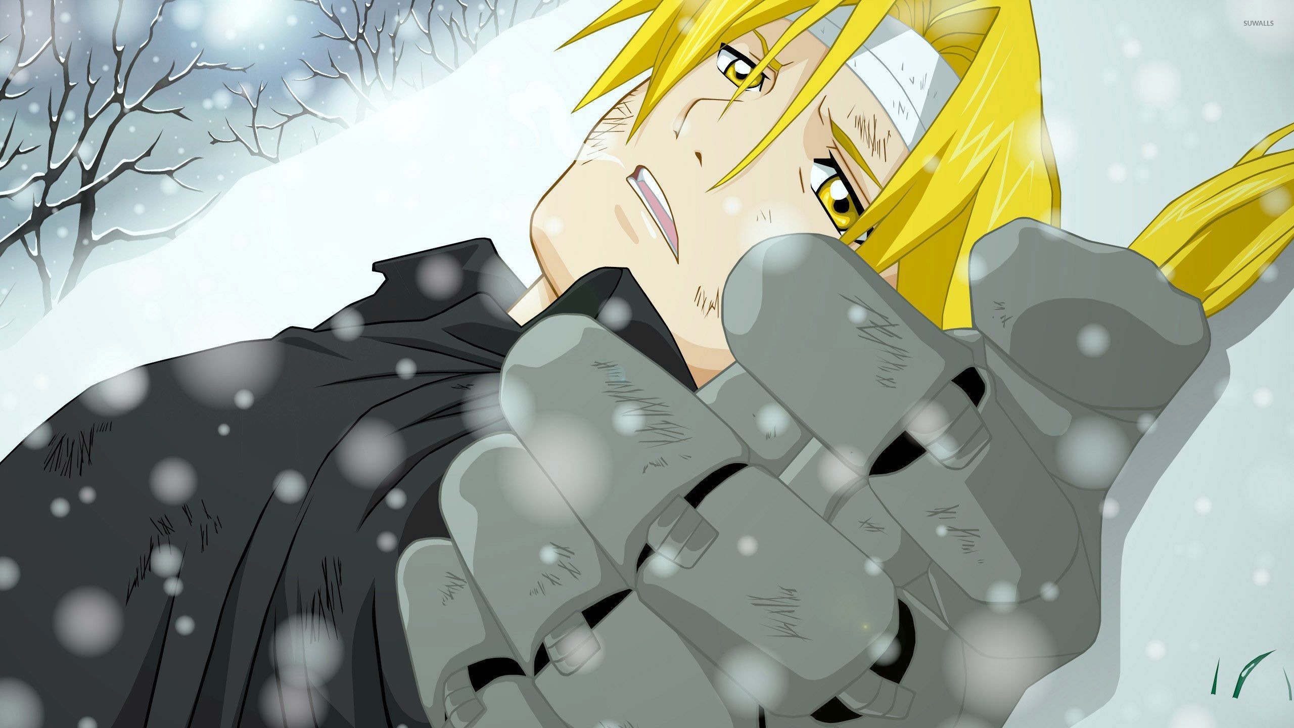 Edward Elric, Alphonse Elric, Fullmetal Alchemist, Neve, 16:9 2K, sfondo widescreen