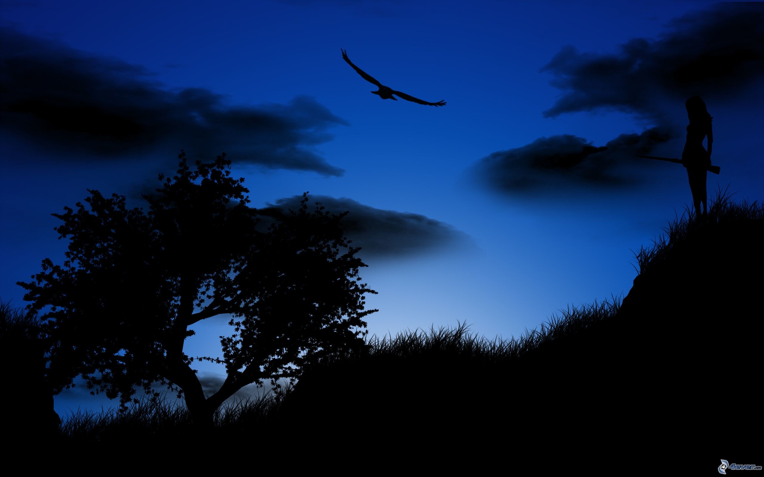 Silhouette, Albero, Uccello, Cielo notturno, Blu, 2560x1600, immagine di sfondo