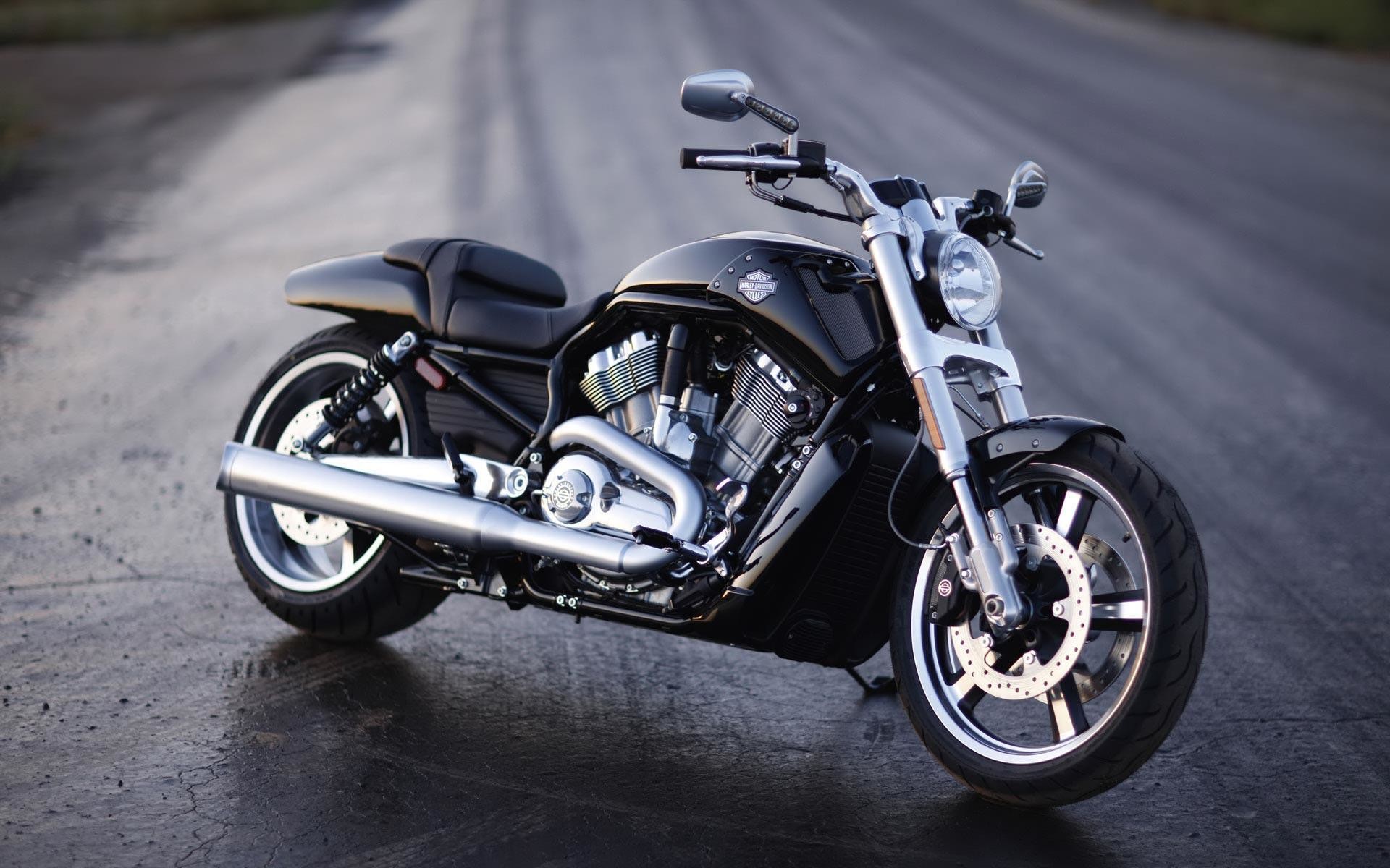 Harley-Davidson V-Rod Muscle, Harley-Davidson, Strada, Nero, Cromature, wallpaper Windows 11