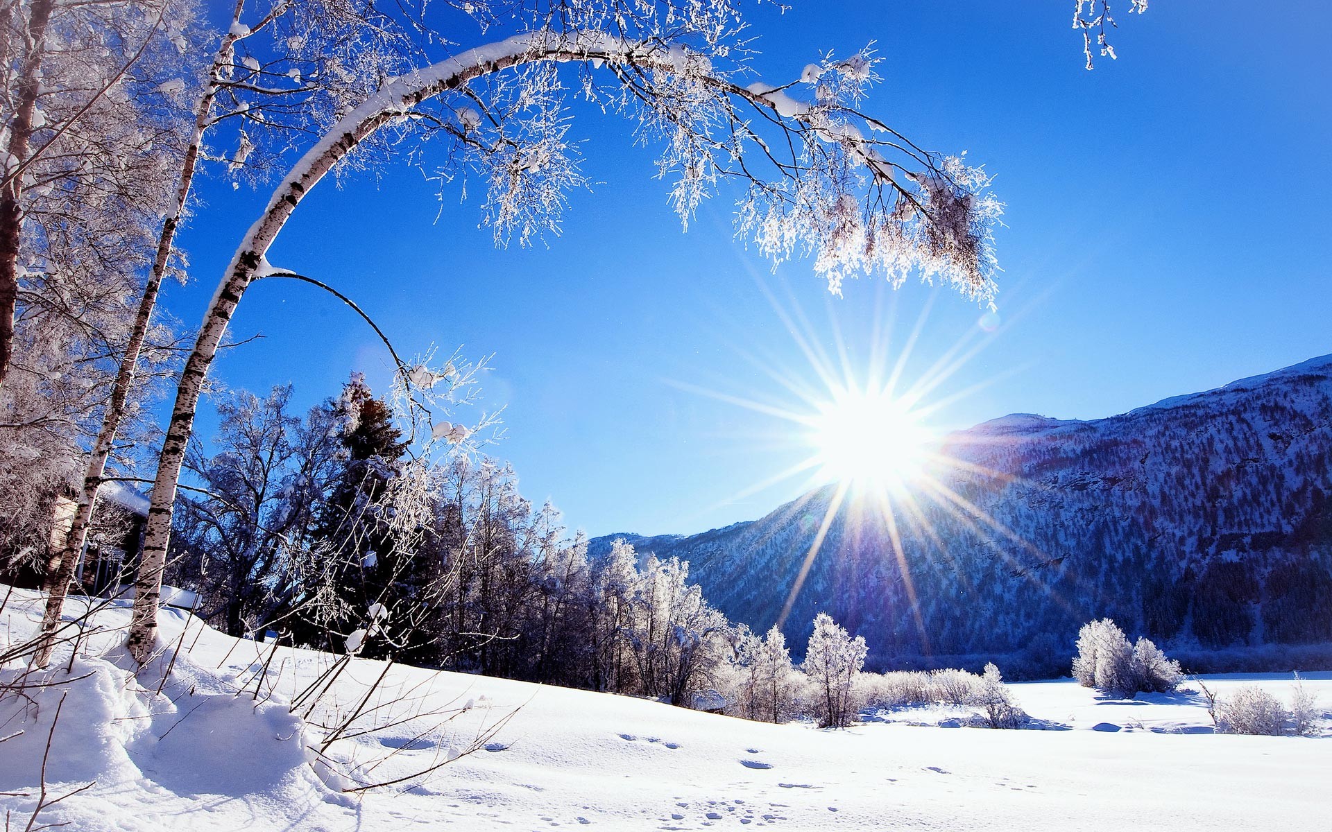 Sole, Alberi innevati, Montagne, Cielo blu, Full HD, sfondo per il tuo desktop