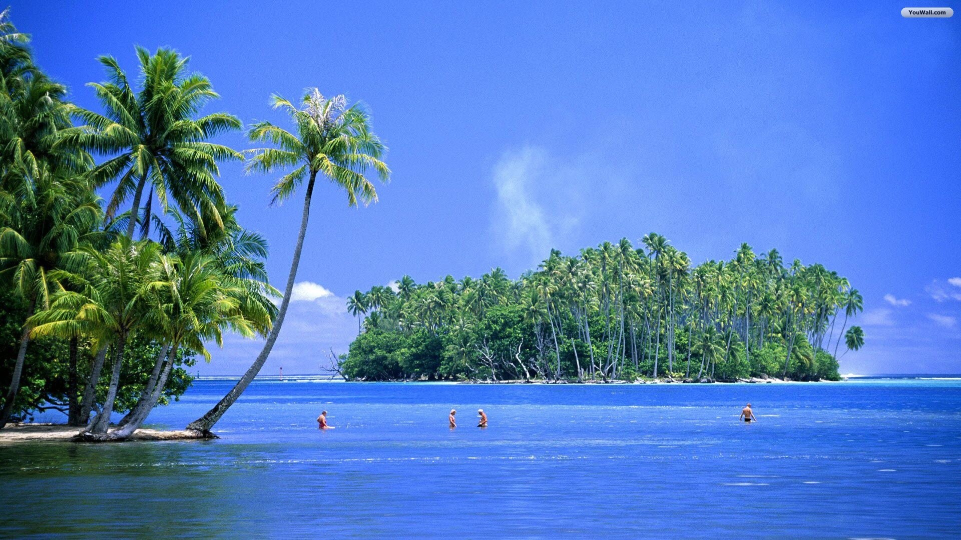 Mare, Isola tropicale, Palme, Cielo azzurro, 16:9 Full HD, sfondo widescreen