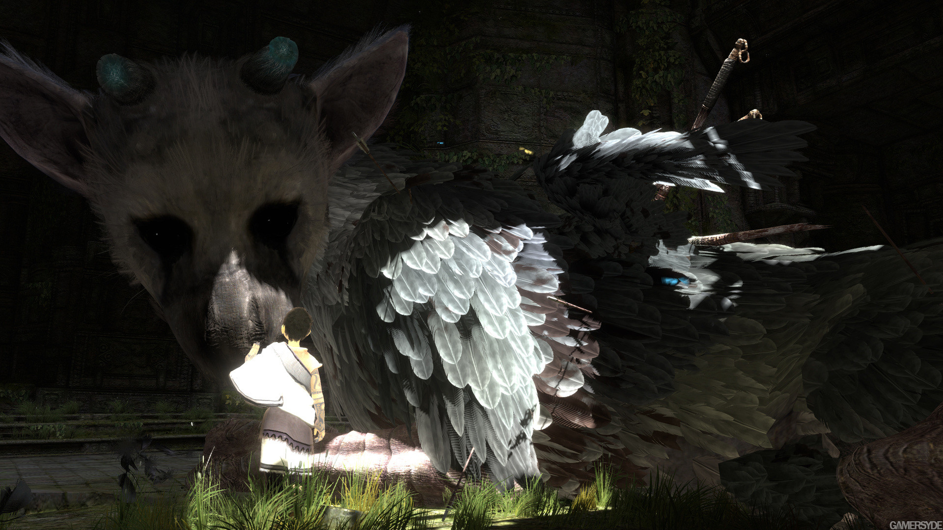 Trico, The Last Guardian, Ragazzo, Piume, Full HD 1080p, sfondo desktop