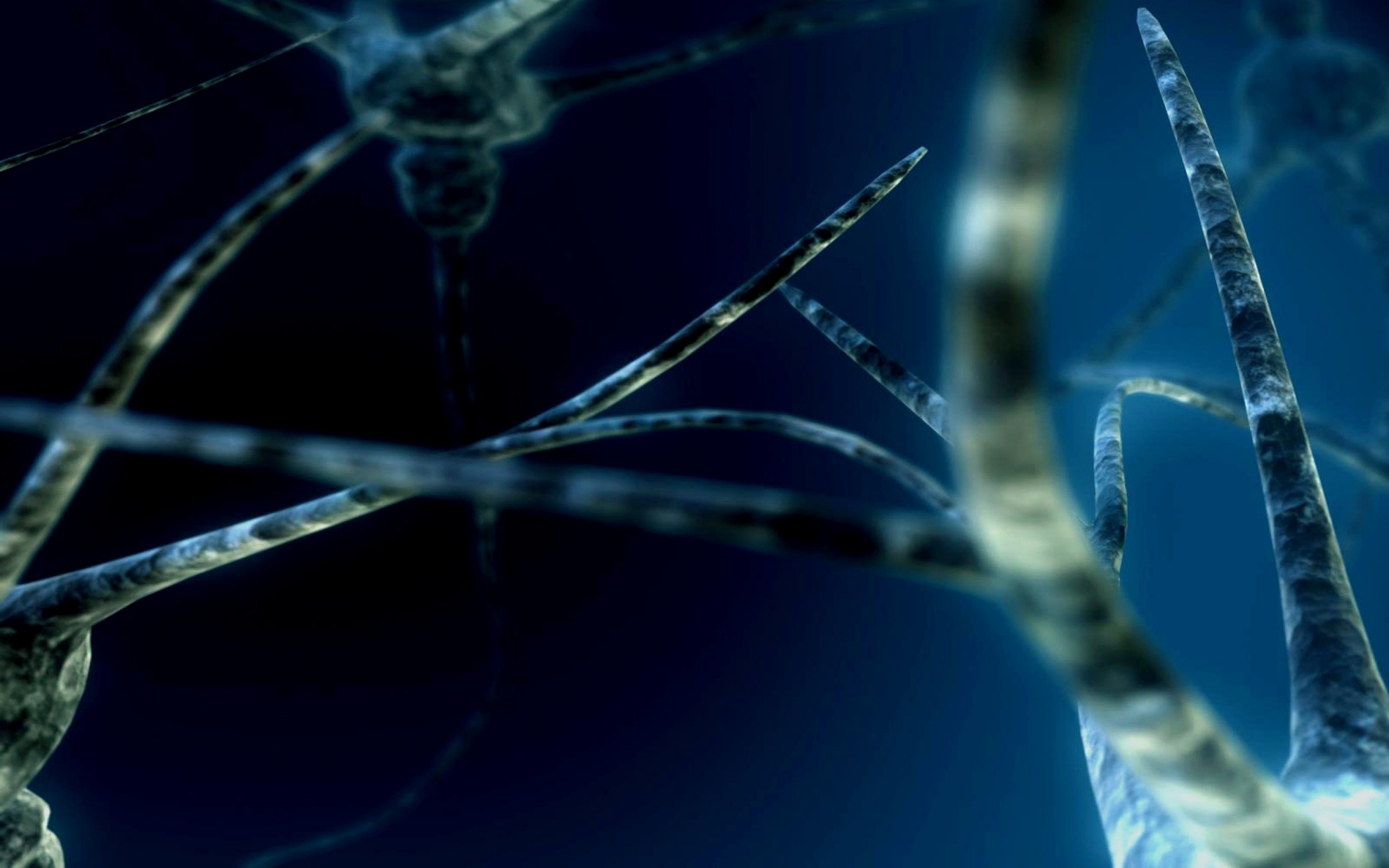 Neuroni, Sinapsi, Rendering 3D, Blu, 2560x1600, sfondo MacBook Pro