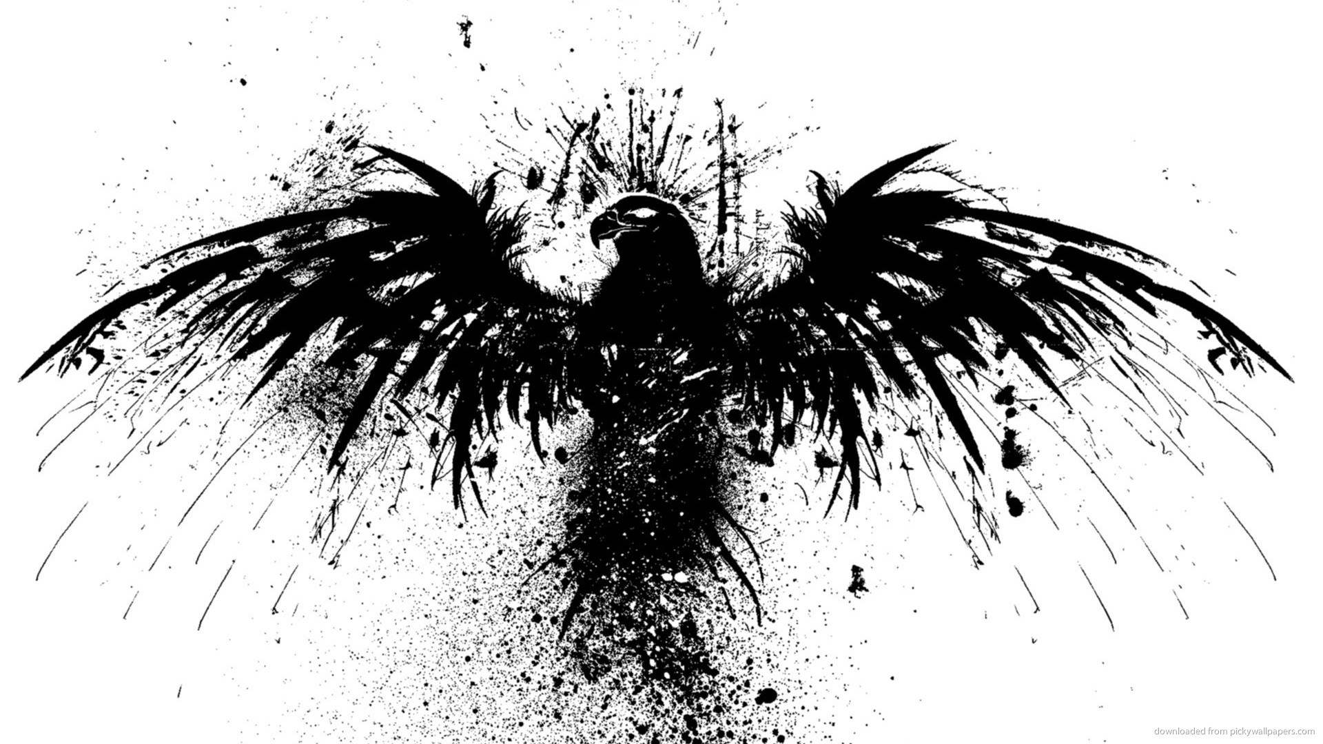 Aquila, Inchiostro, Bianco e nero, Full HD, sfondo per portatile