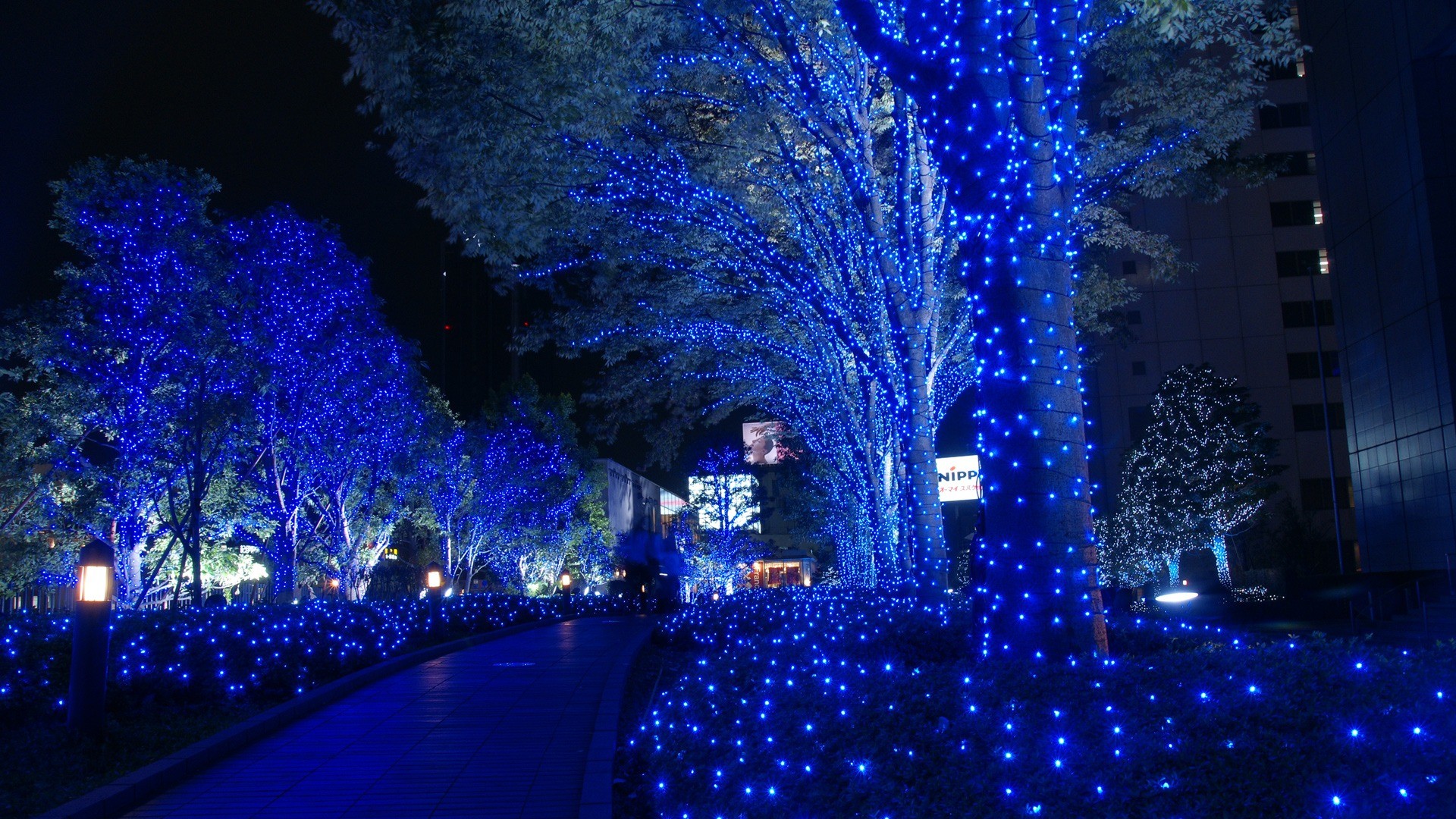 Natale, Luminarie blu, Alberi illuminati, Notte, Città, Full HD, sfondo per portatile