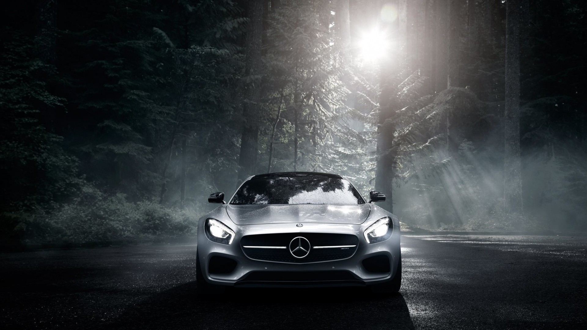 Mercedes-AMG GT, Auto sportiva, Foresta, Nebbia, Notte, Full HD, sfondo per PC e portatile